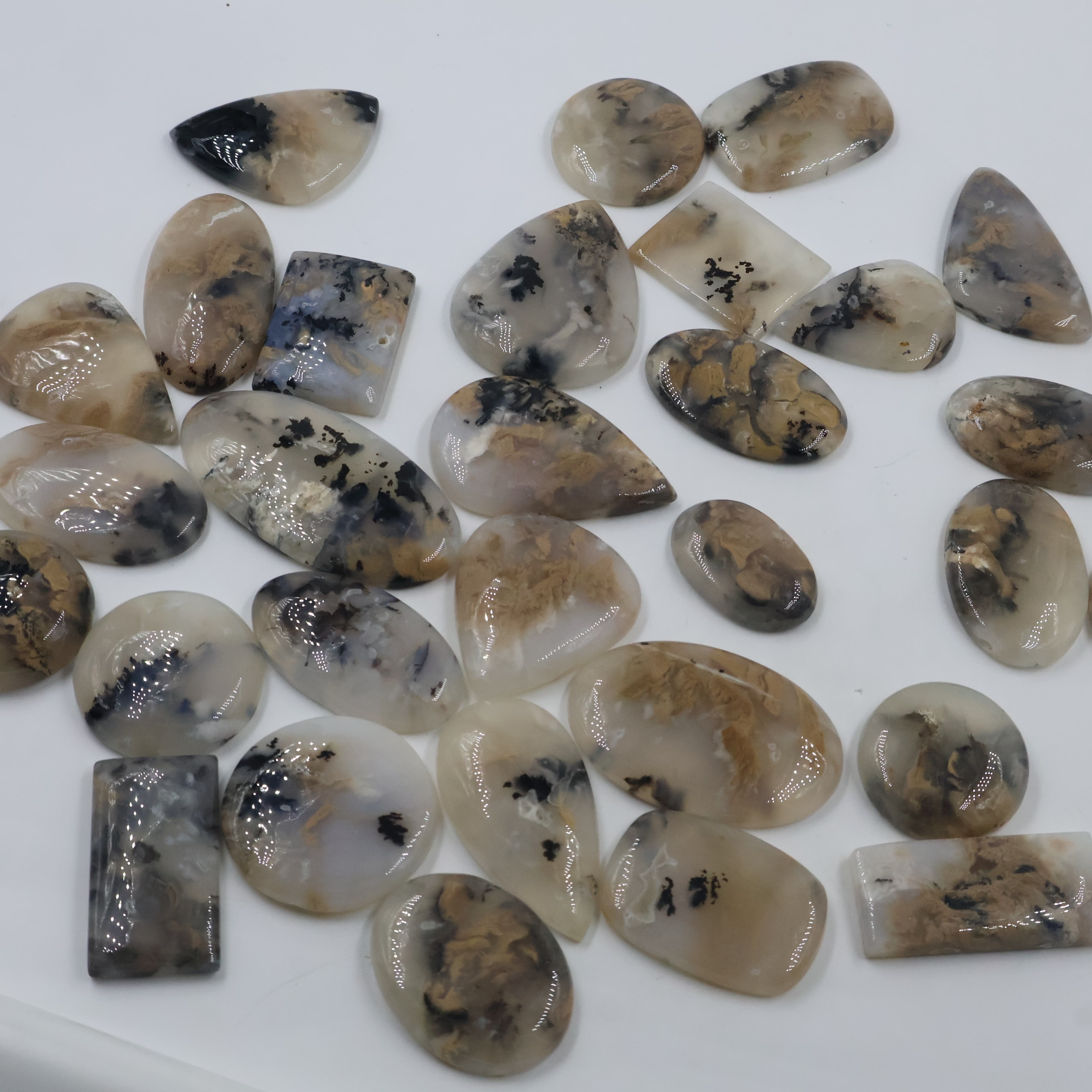 Natural Tiger Dendrite Agate  Mix-Size Gemstone (Cabochon ) Tiger Dendrite Agate  