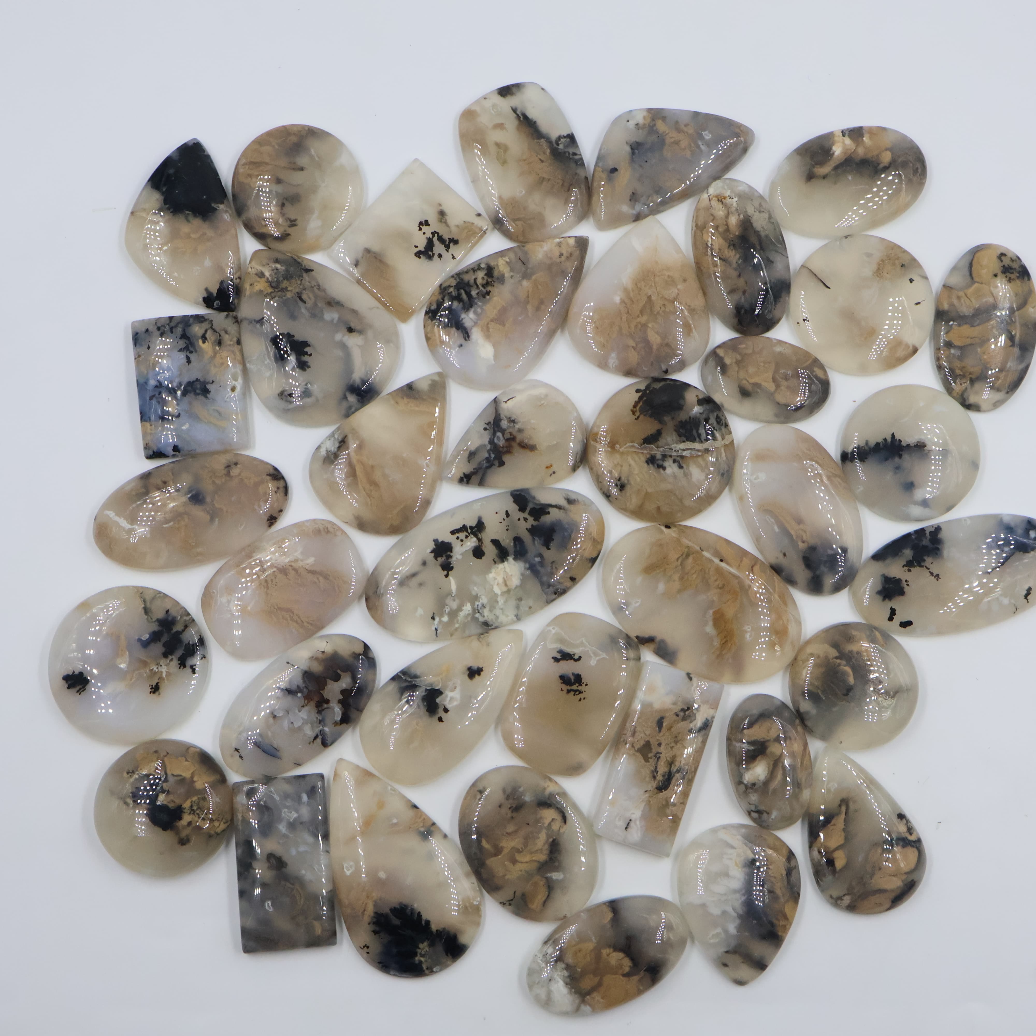 Natural Tiger Dendrite Agate  Mix-Size Gemstone (Cabochon ) Tiger Dendrite Agate  