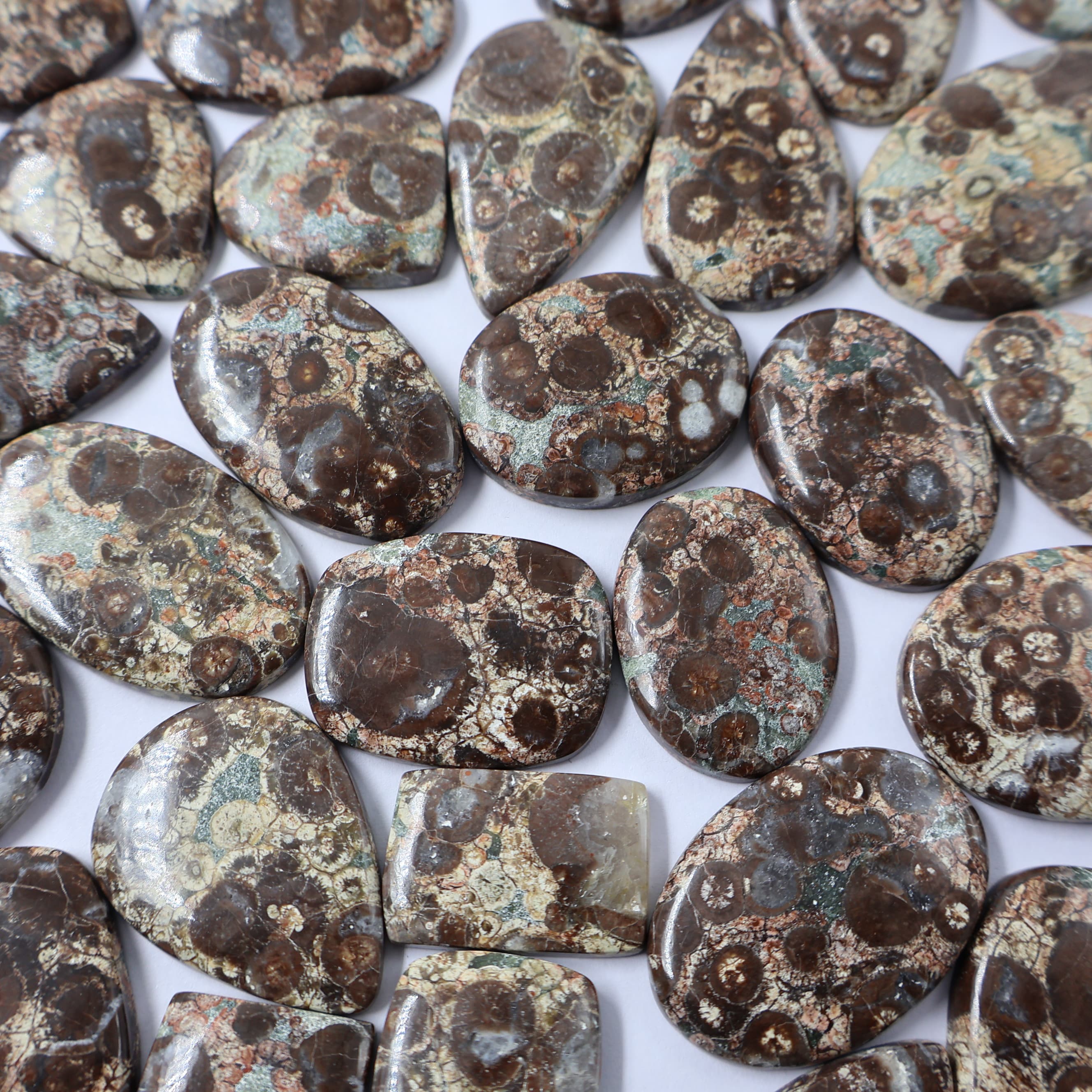 Natural Bird Eye Jasper Mix -Size Gemstone (Cabochon ) Bird Eye Jasper 