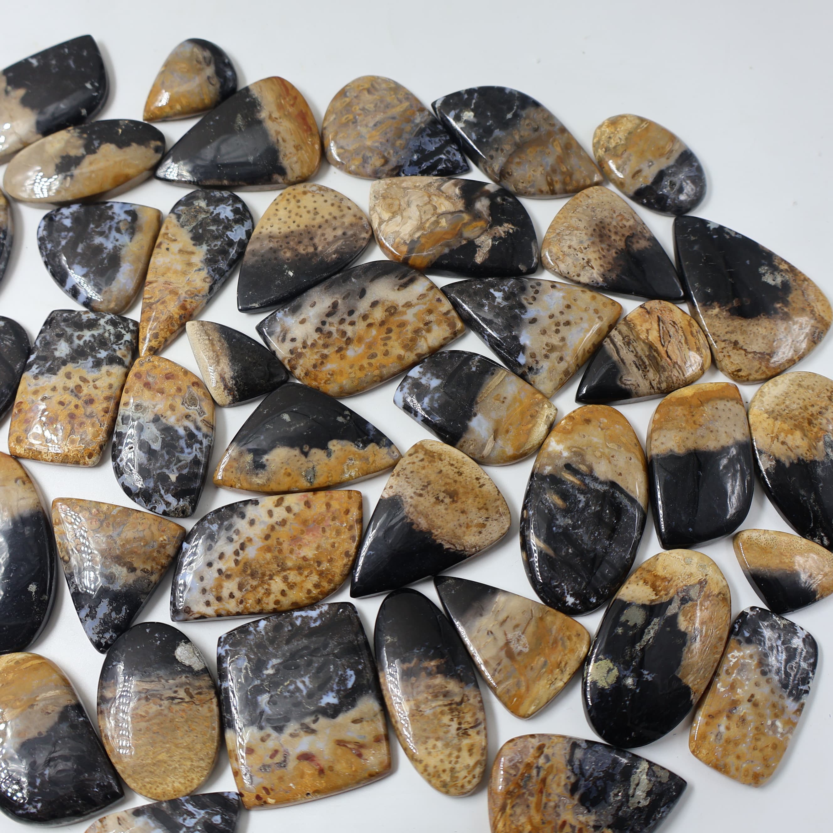 Natural Palm Root Agate  Grooved Pendant Mix Shape -Size Gemstone (Cabochon ) Palm Root Agate