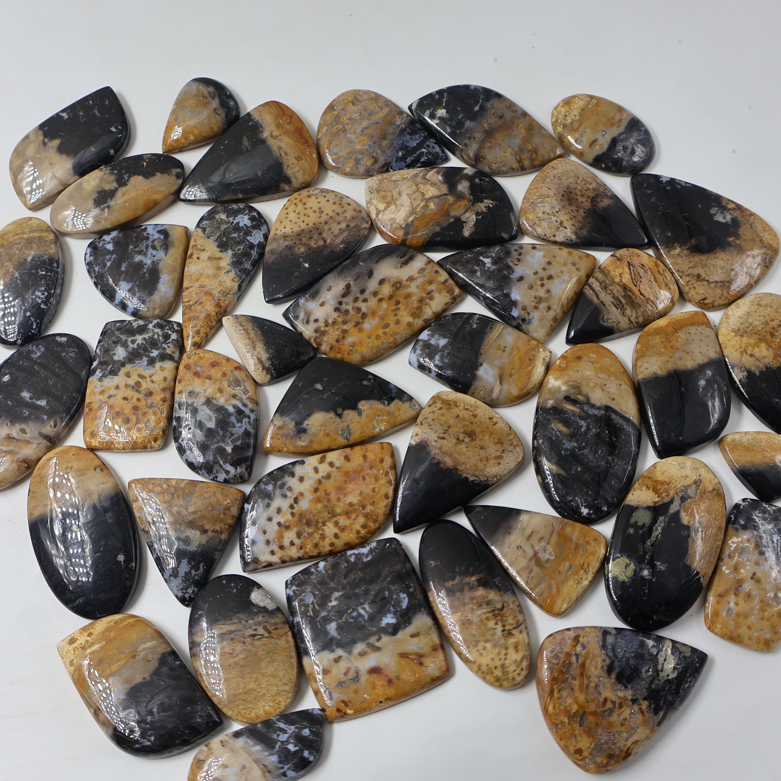 Natural Palm Root Agate  Grooved Pendant Mix Shape -Size Gemstone (Cabochon ) Palm Root Agate