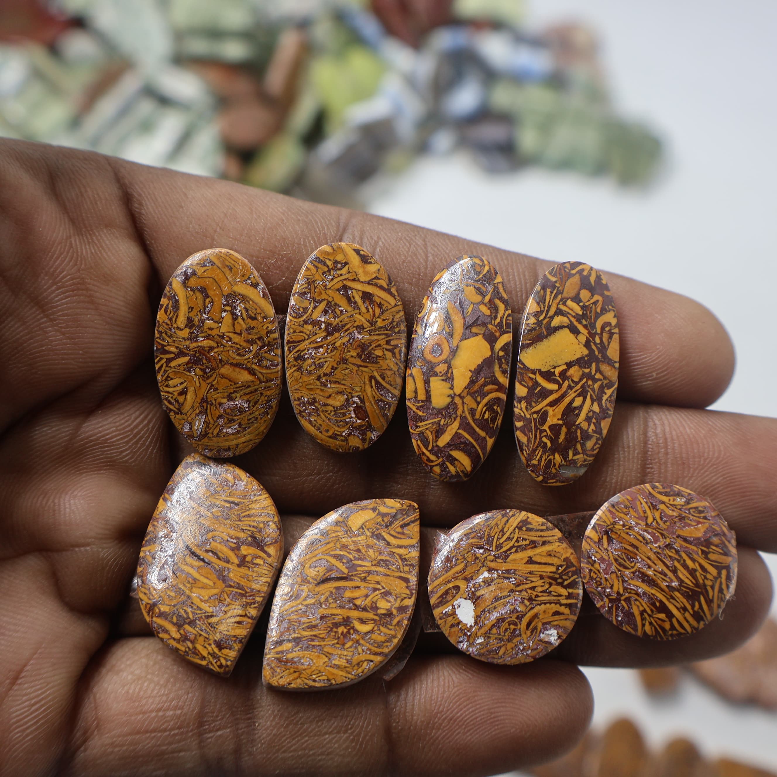 Natural Mariam Jasper Pair Mix -Size Gemstone (Cabochon ) Mariam Jasper
