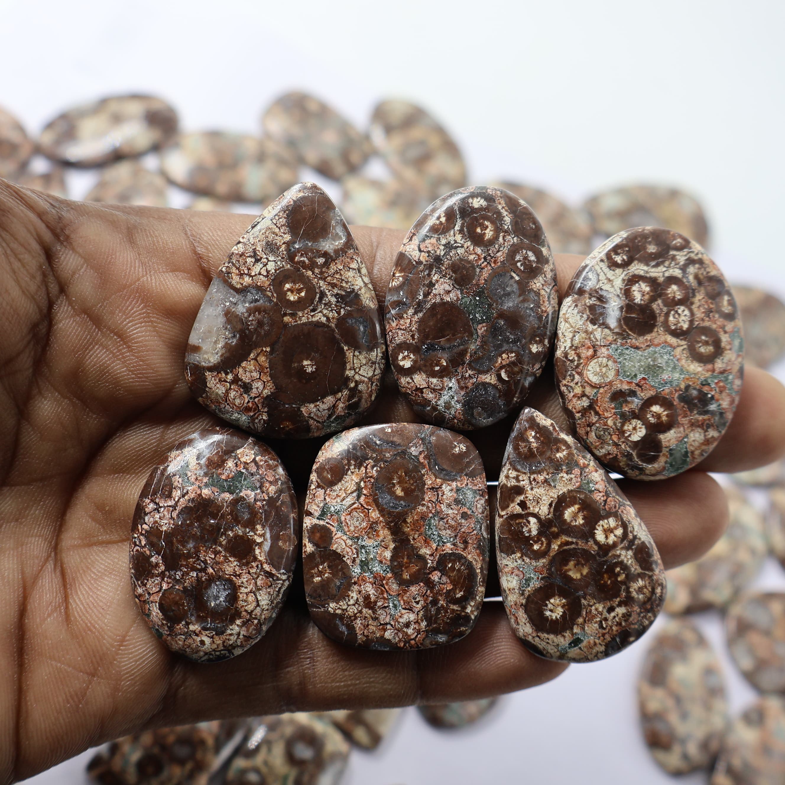 Natural Bird Jasper  Mix  -Size Gemstone (Cabochon ) Bird Jasper  