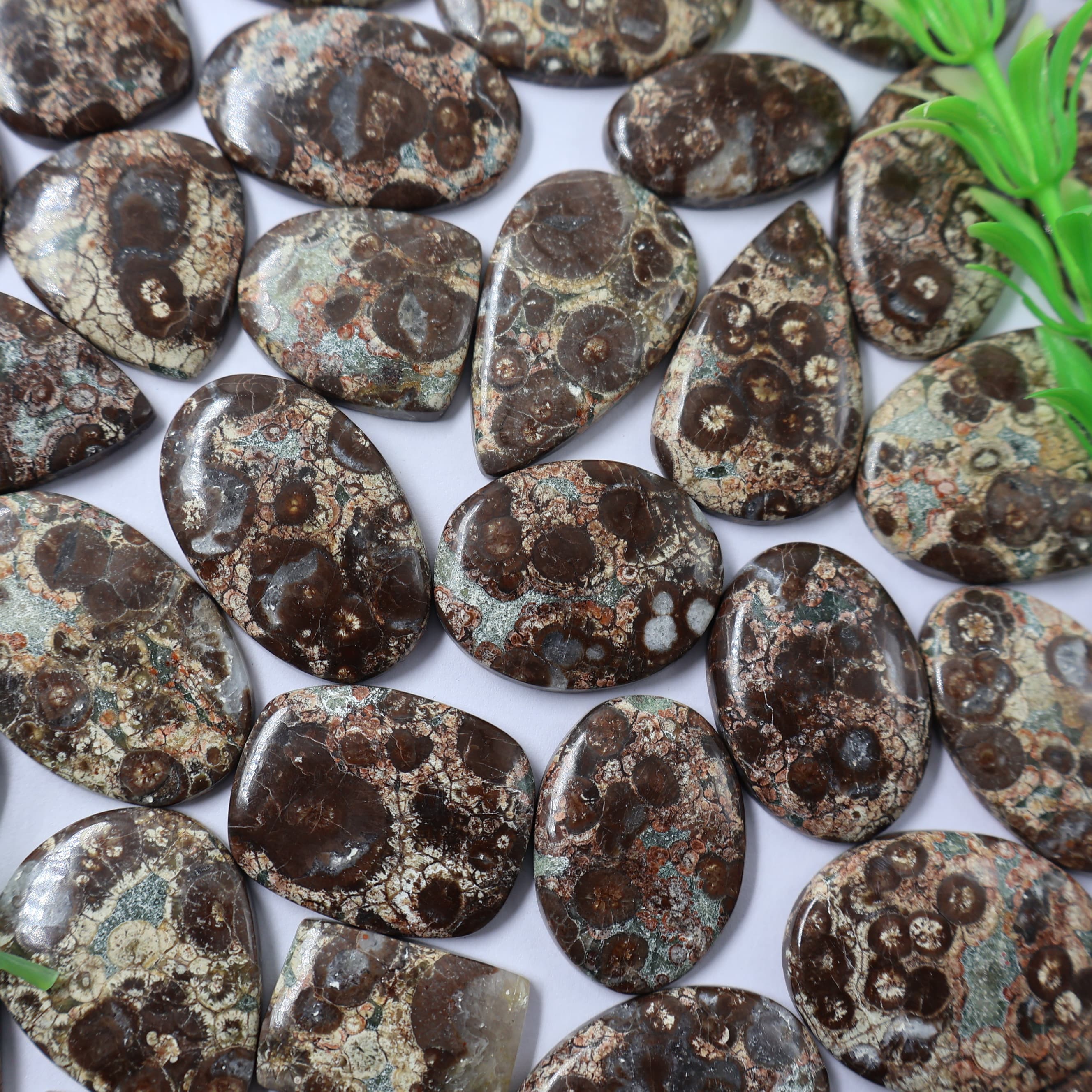Natural Bird Jasper  Mix  -Size Gemstone (Cabochon ) Bird Jasper  