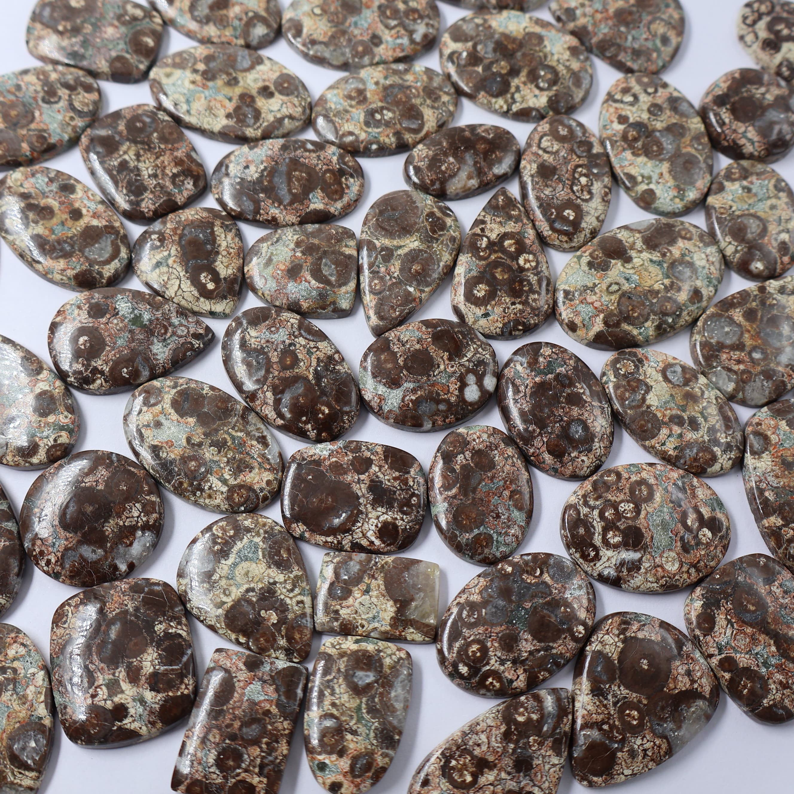 Natural Bird Jasper  Mix  -Size Gemstone (Cabochon ) Bird Jasper  
