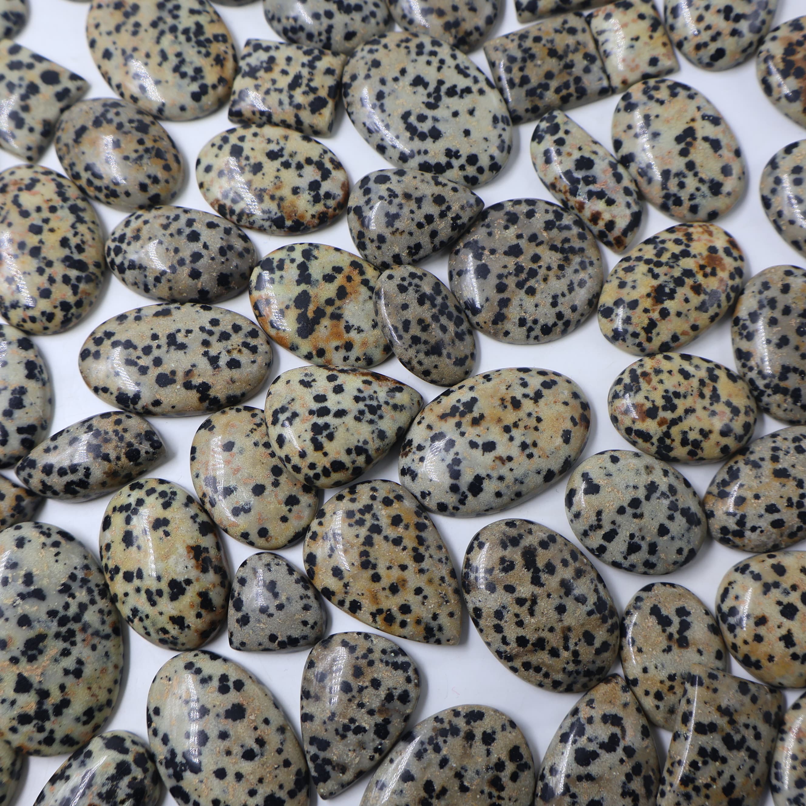 Natural Dalmation Jasper Mix-Size Gemstone (Cabochon ) Dalmation Jasper