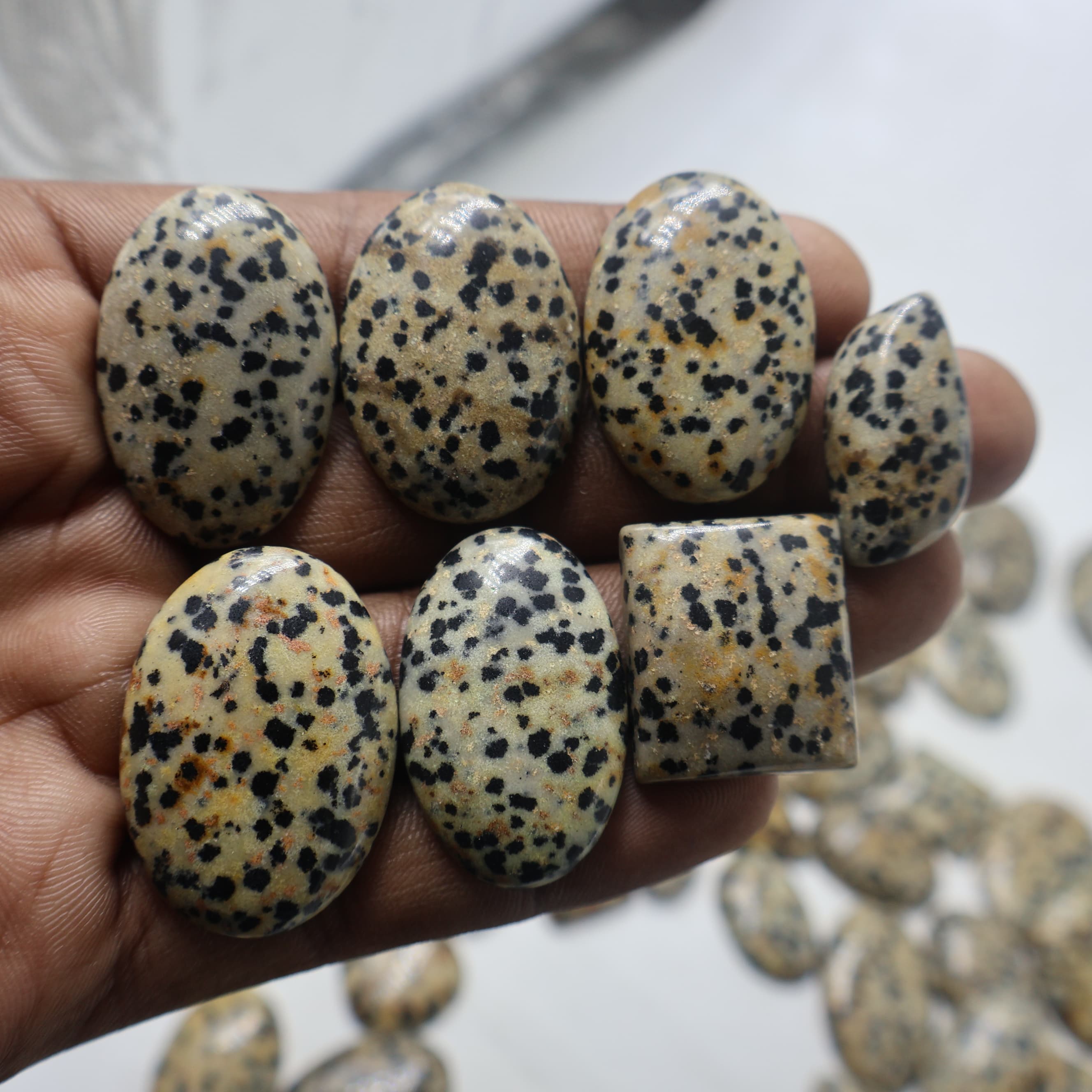 Natural Dalmation Jasper  Mix-Size Gemstone (Cabochon ) Dalmation Jasper