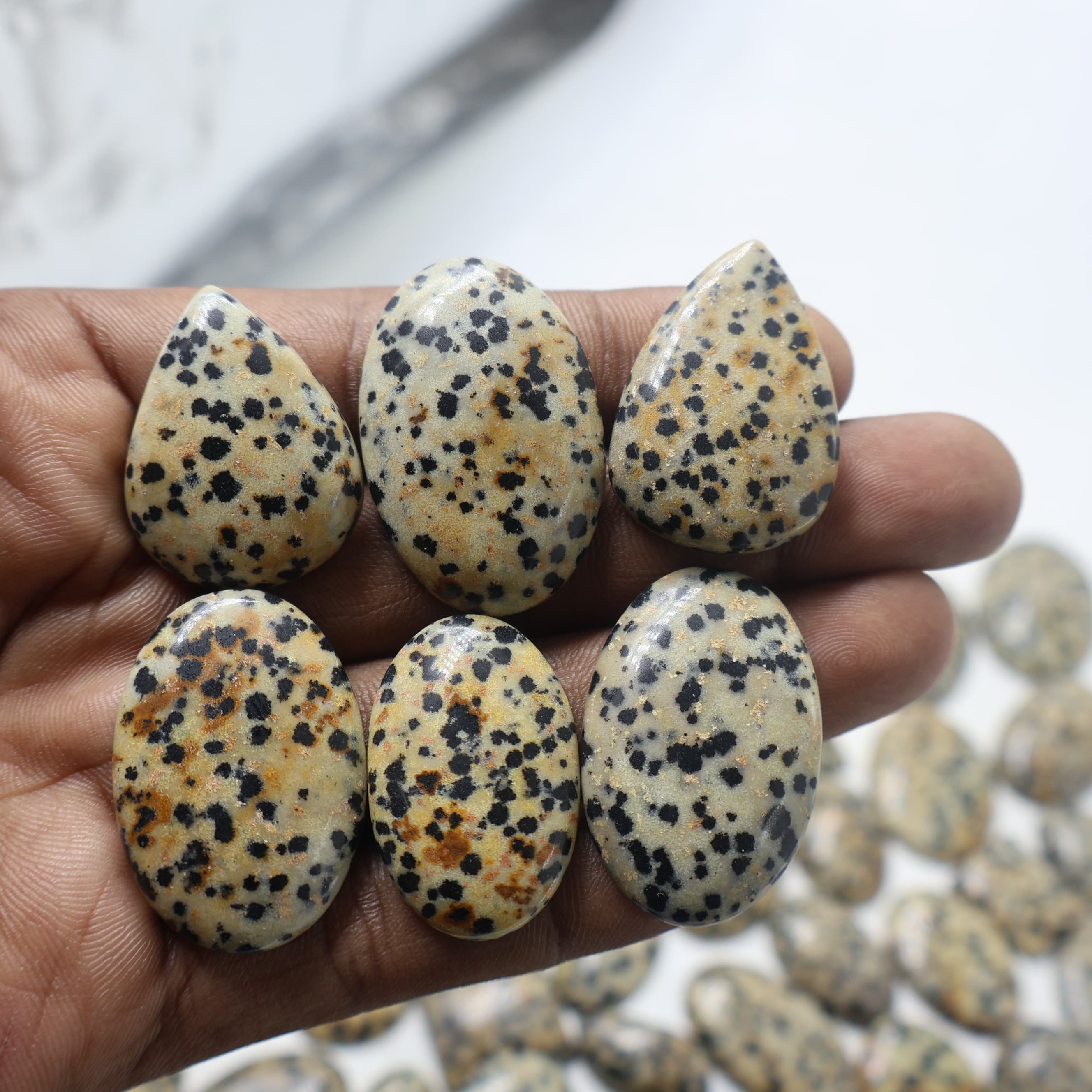 Natural Dalmation Jasper  Mix-Size Gemstone (Cabochon ) Dalmation Jasper