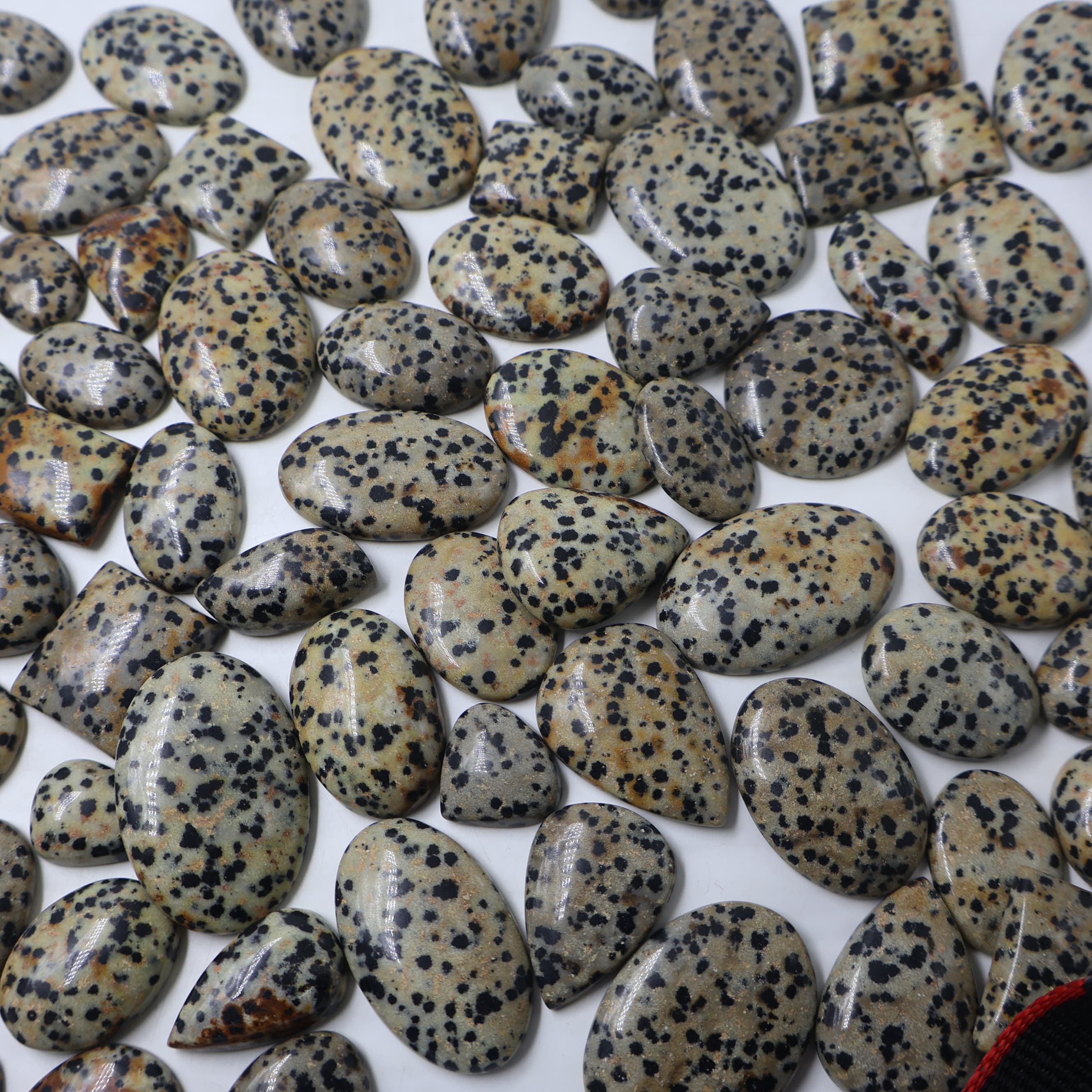 Natural Dalmation Jasper  Mix-Size Gemstone (Cabochon ) Dalmation Jasper