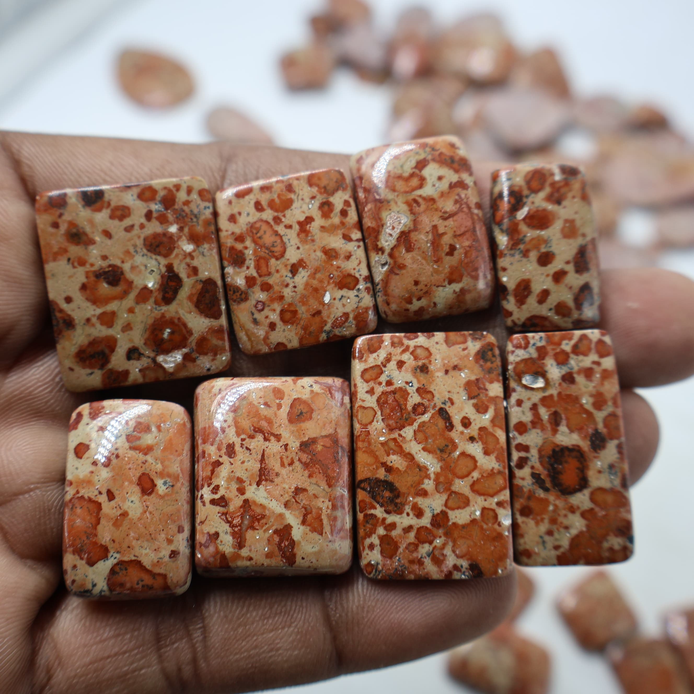 Natural Asteroid Jasper Square -Size Gemstone (Cabochon ) Asteroid Jasper