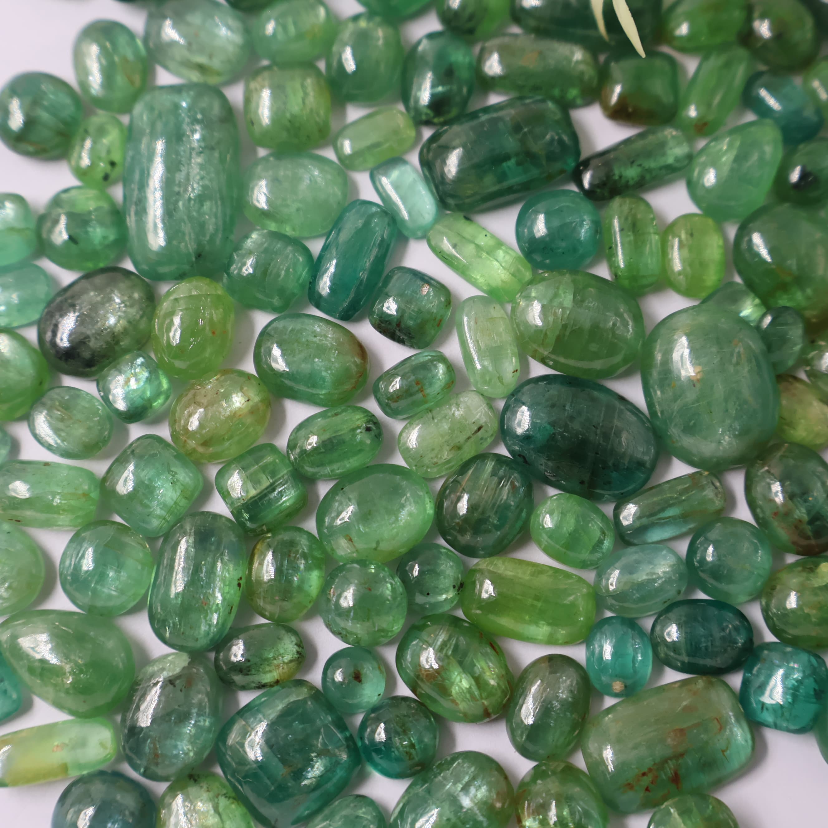 Natural Mint Kyanite Mix Shape -Size Gemstone (Cabochon ) Mint Kyanite
