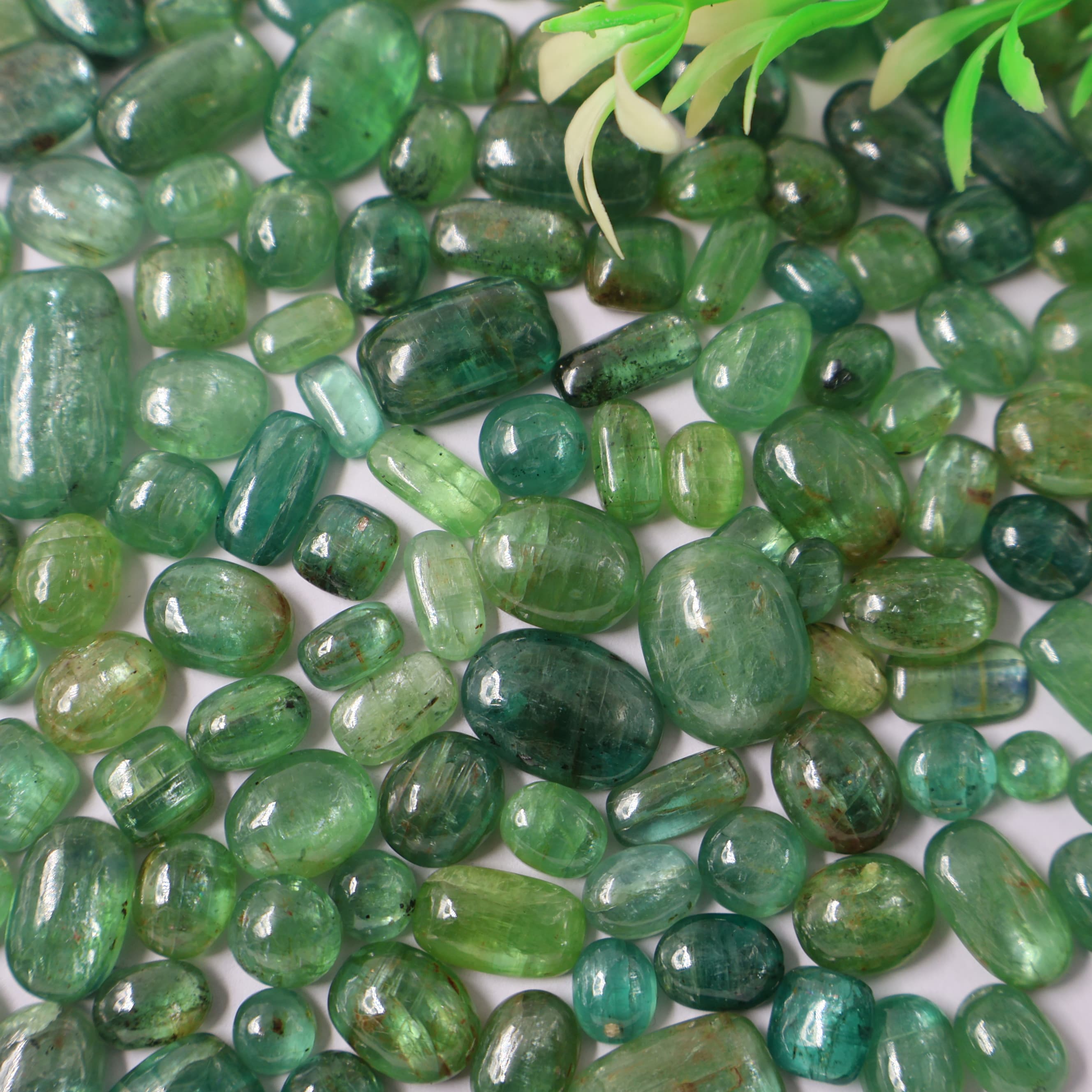 Natural Mint Kyanite Mix Shape -Size Gemstone (Cabochon ) Mint Kyanite