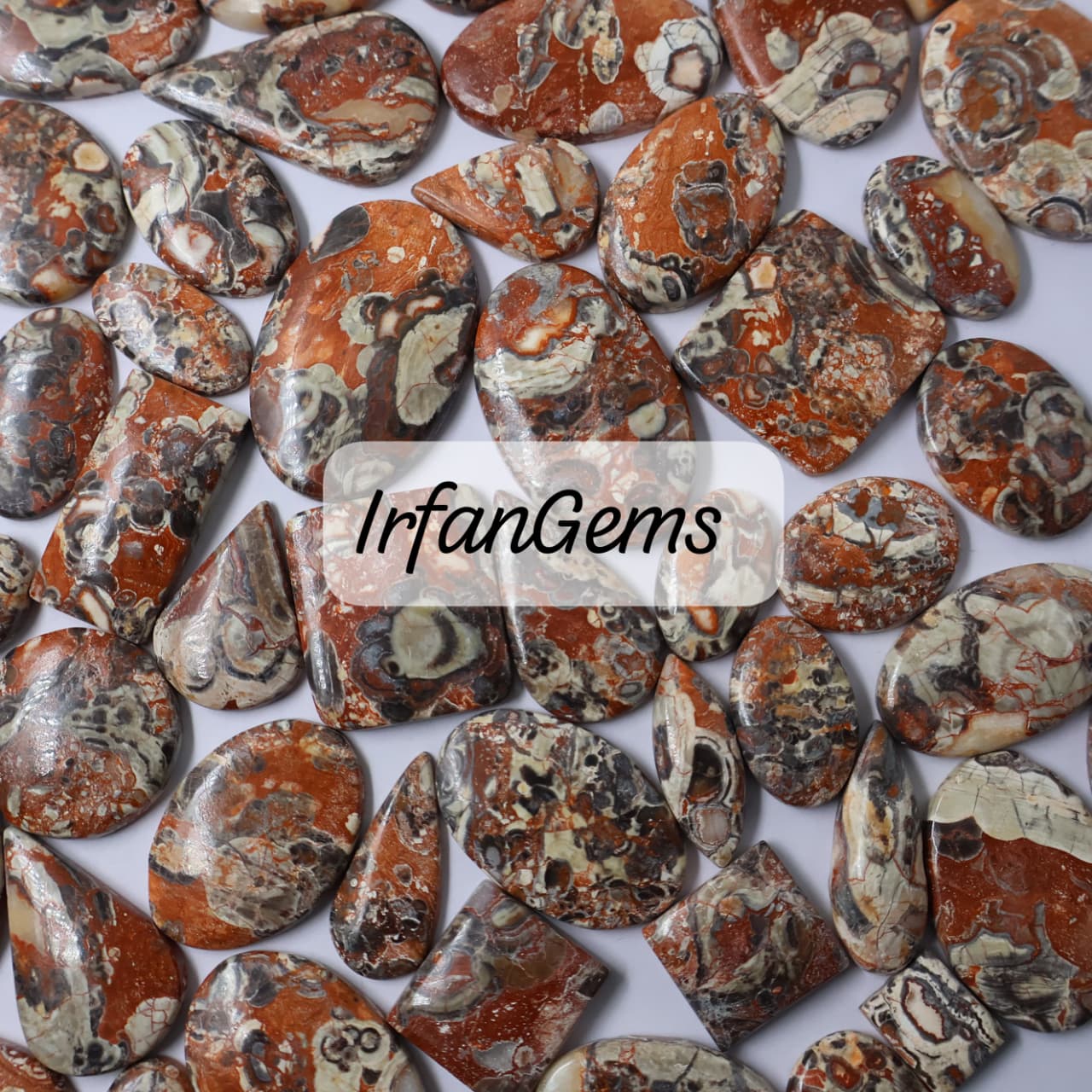 Natural Mushroom Jasper Mix-Size Gemstone (Cabochon ) Mushroom Jasper
