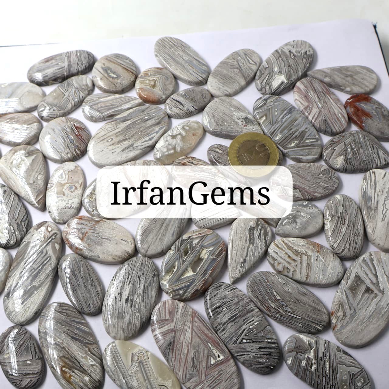 Natural Lattice Agate  Mix-Size Gemstone (Cabochon ) Lattice Agate