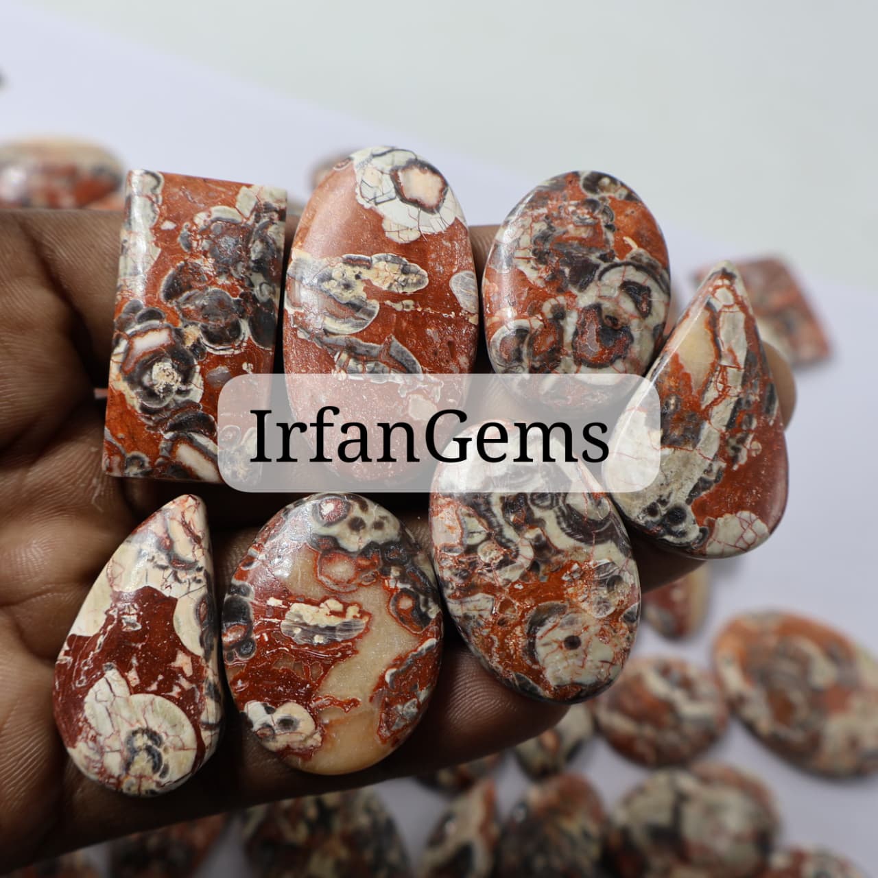 Natural Mushroom Jasper Mix-Size Gemstone (Cabochon ) Mushroom Jasper