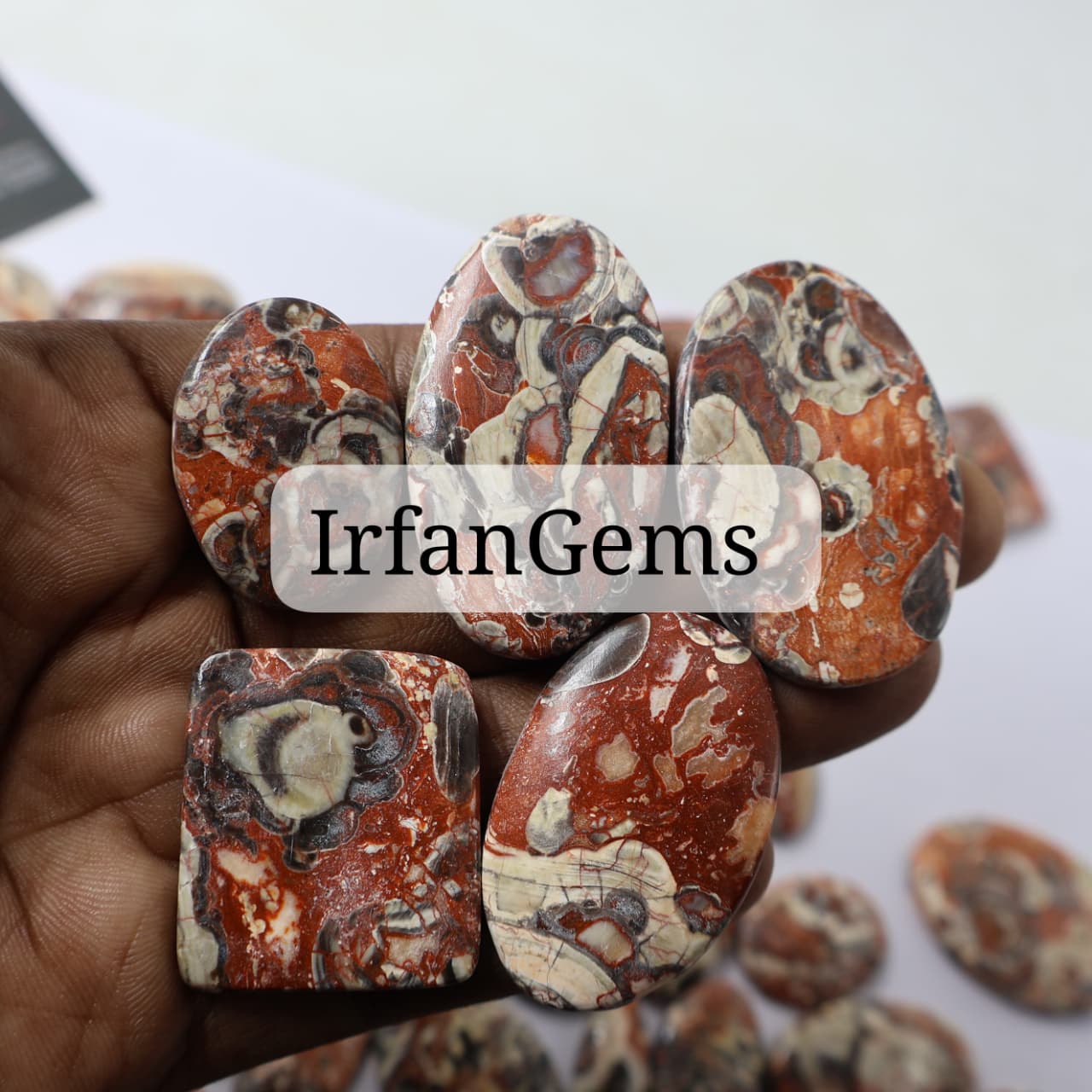 Natural Mushroom Jasper Mix-Size Gemstone (Cabochon ) Mushroom Jasper