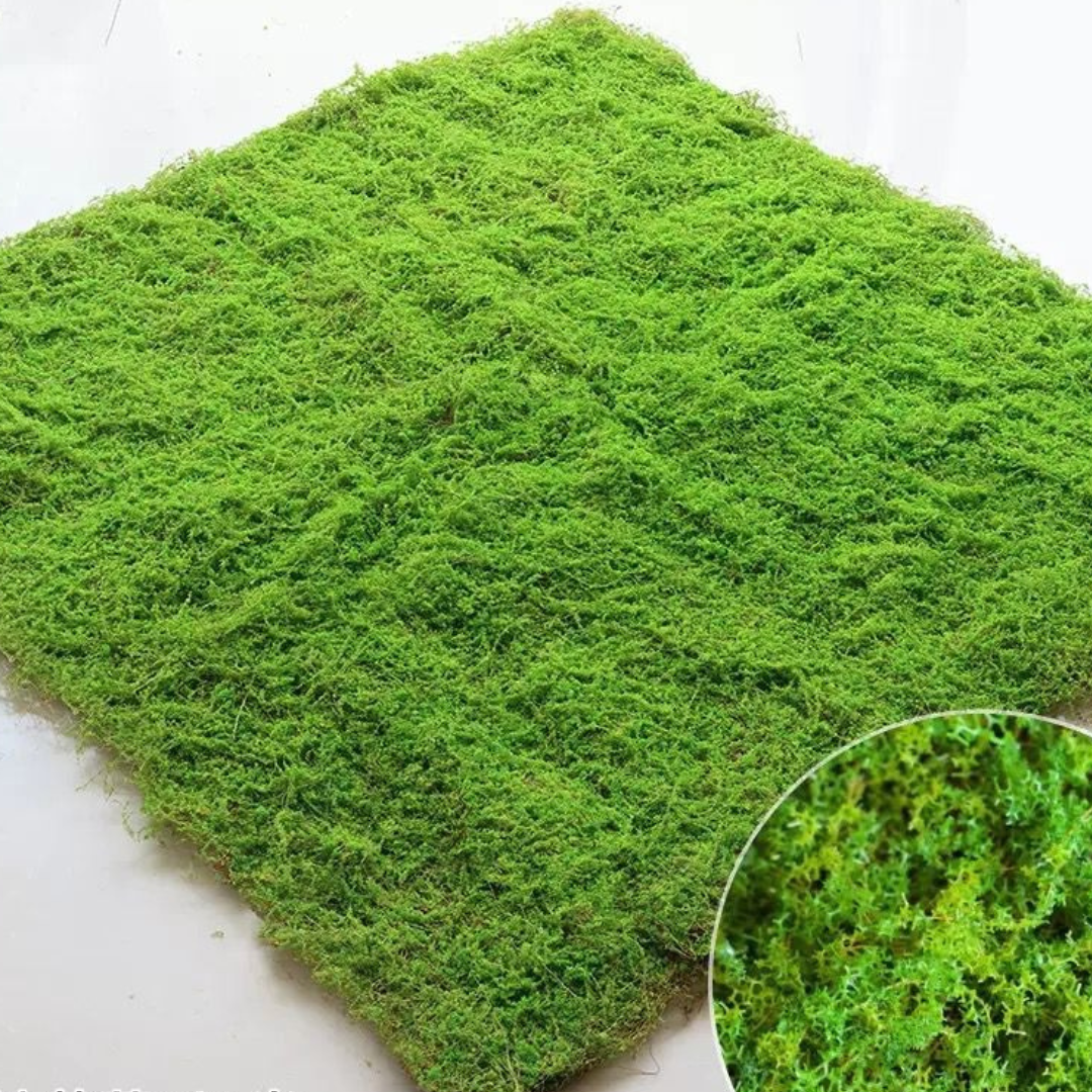 Ground Coverings