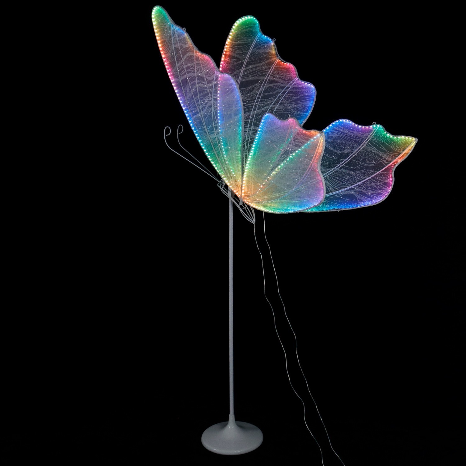 Moving Butterfly Stand