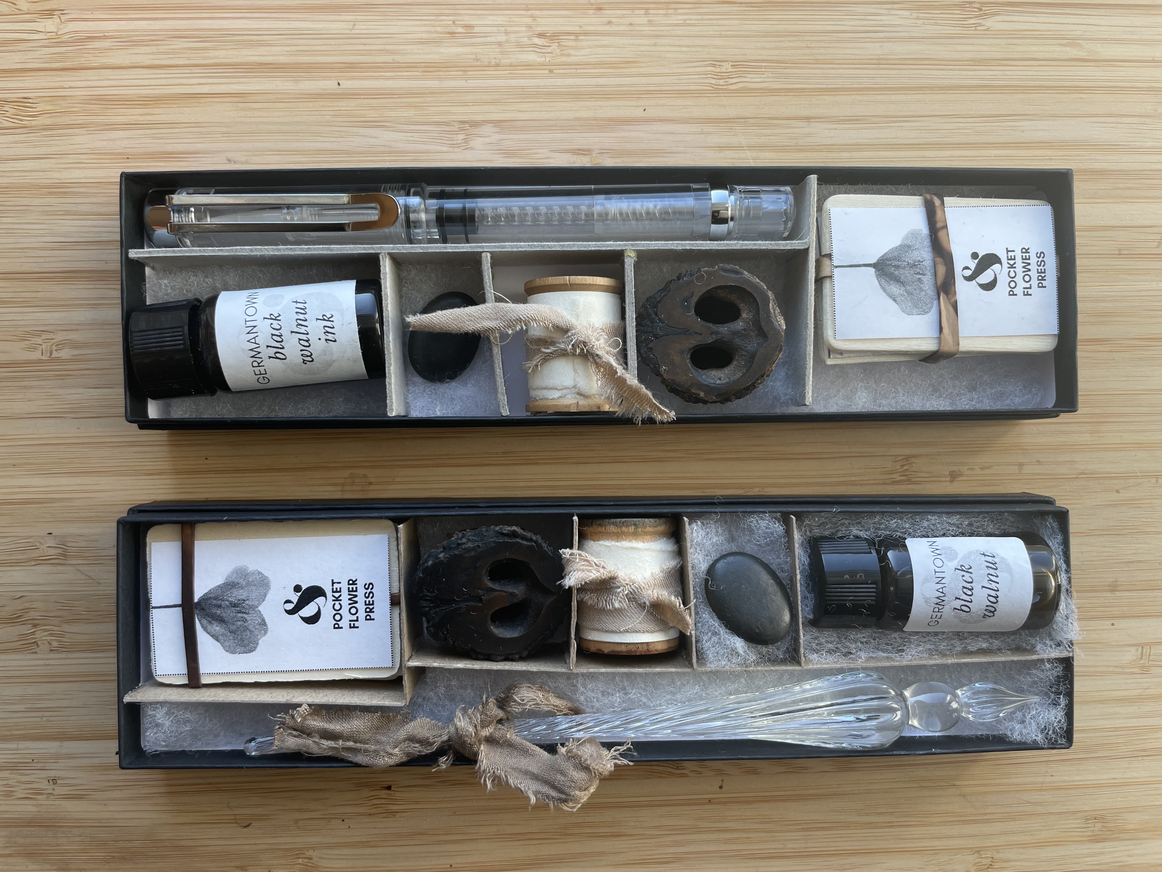 Black Walnut Nature Craft Adventure Field Kit