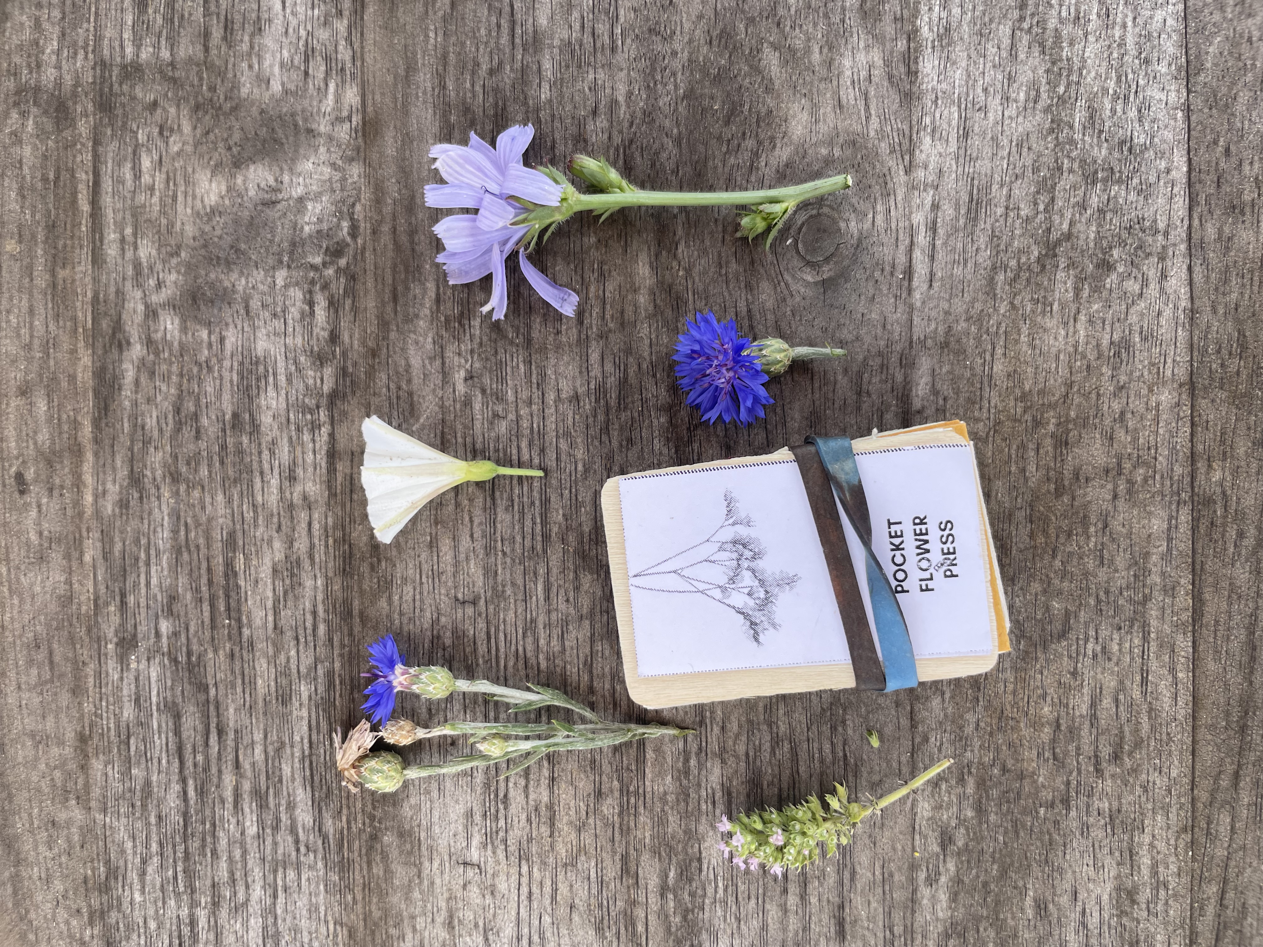 Pocket Flower Press
