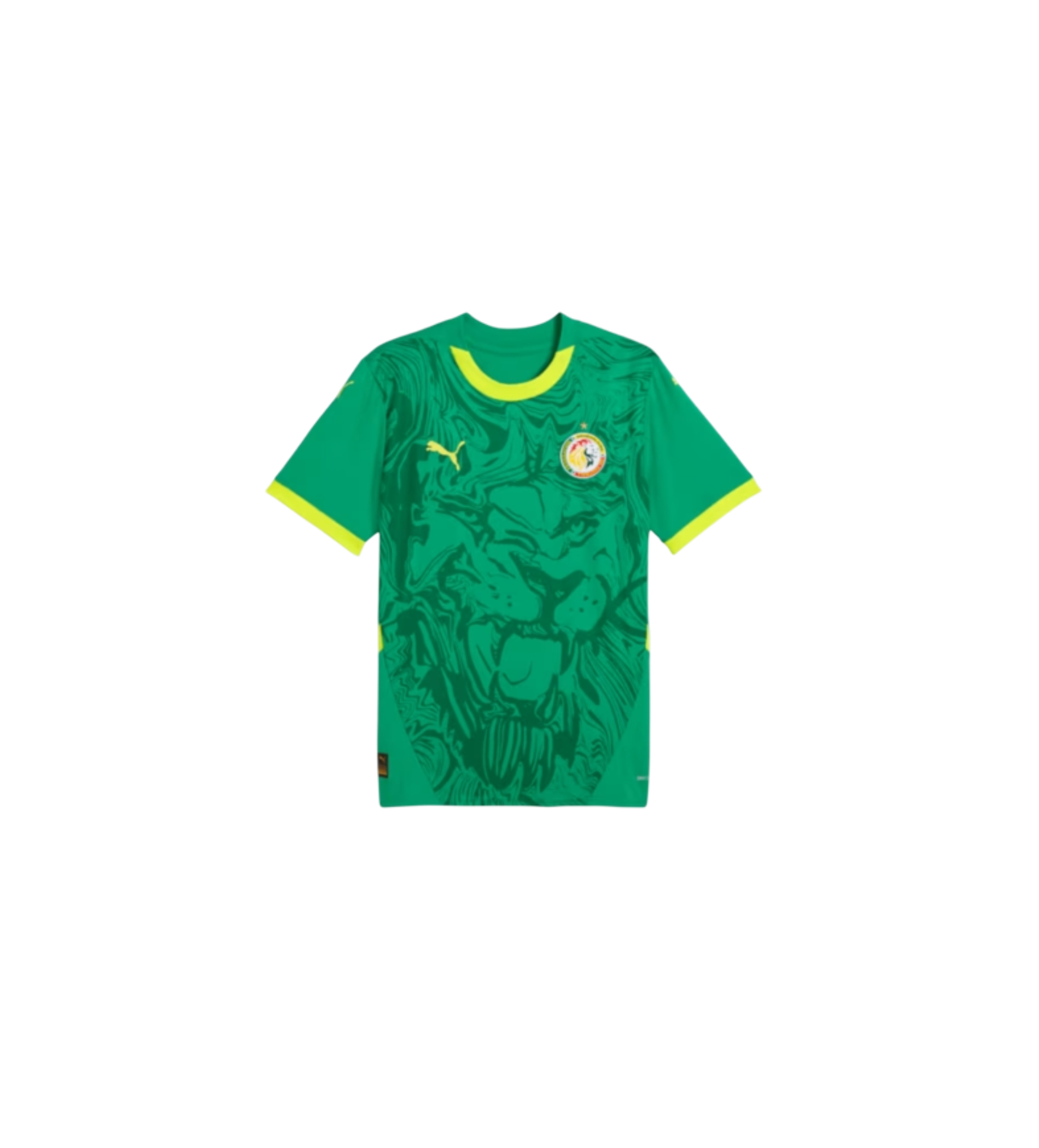Maillot Sénégal Extérieur 2025