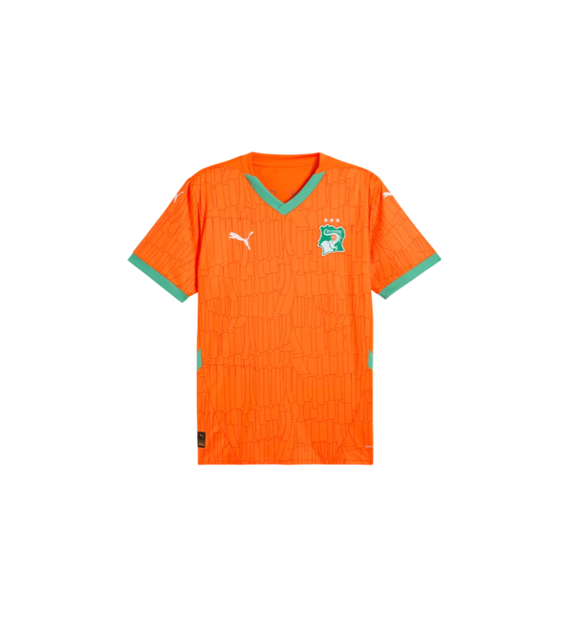 Maillot Côte D'ivoire Domicile 2025