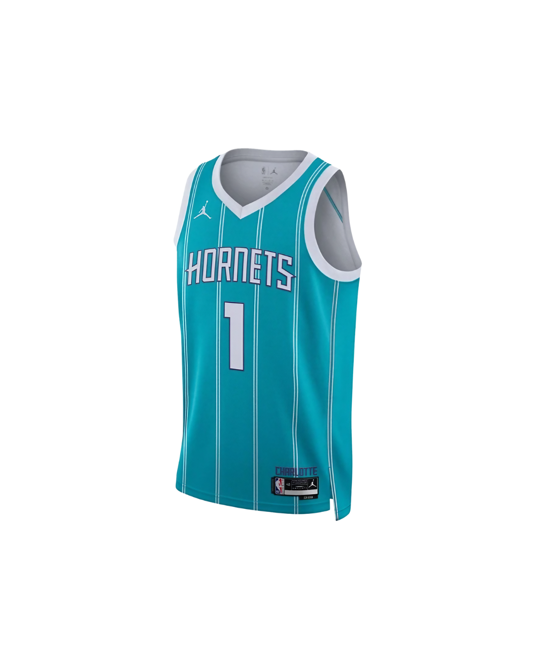 Maillot Charlotte Hornets NBA Icon Edition 2025/2026