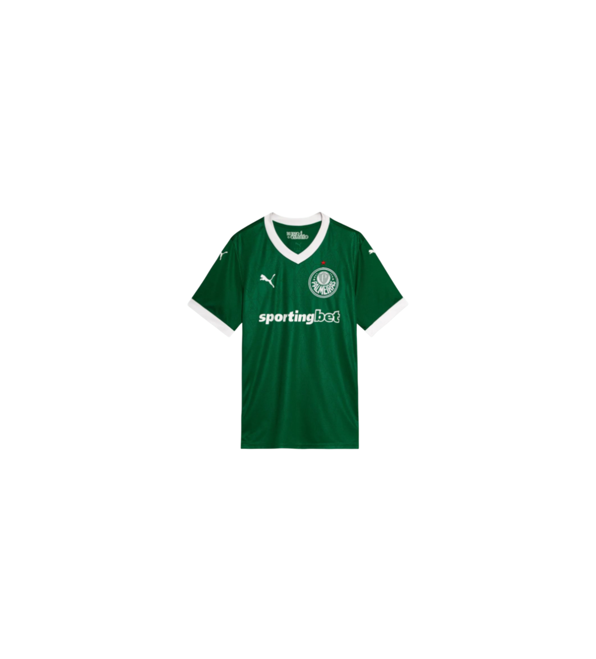 Maillot Palmeiras SE Domicile 2025/2026