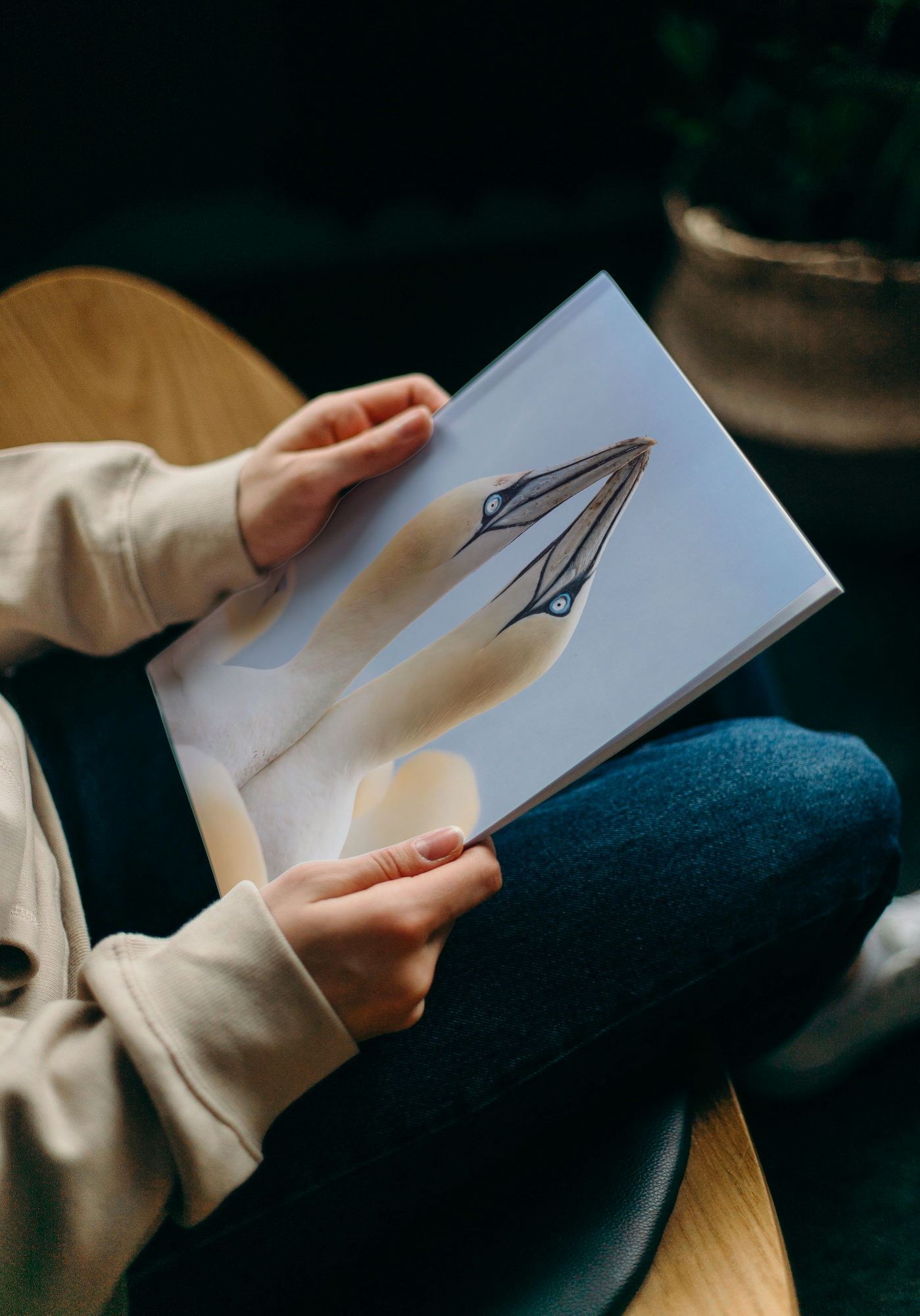 "The Gannets Kiss" journal 