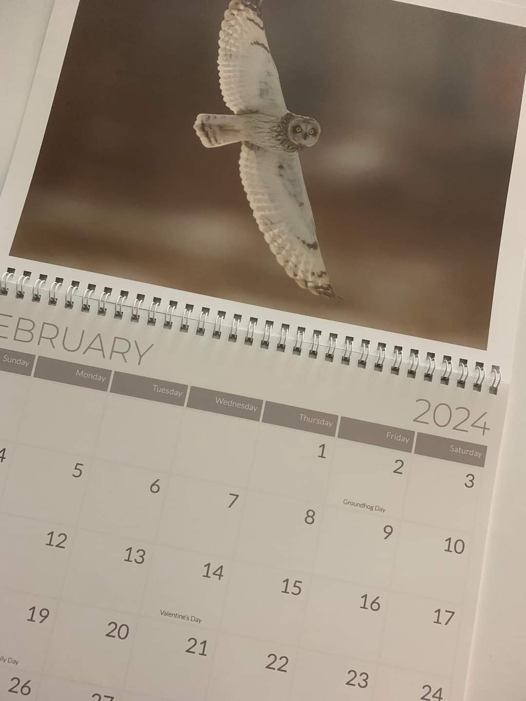 2024 Wildlife Calendar 