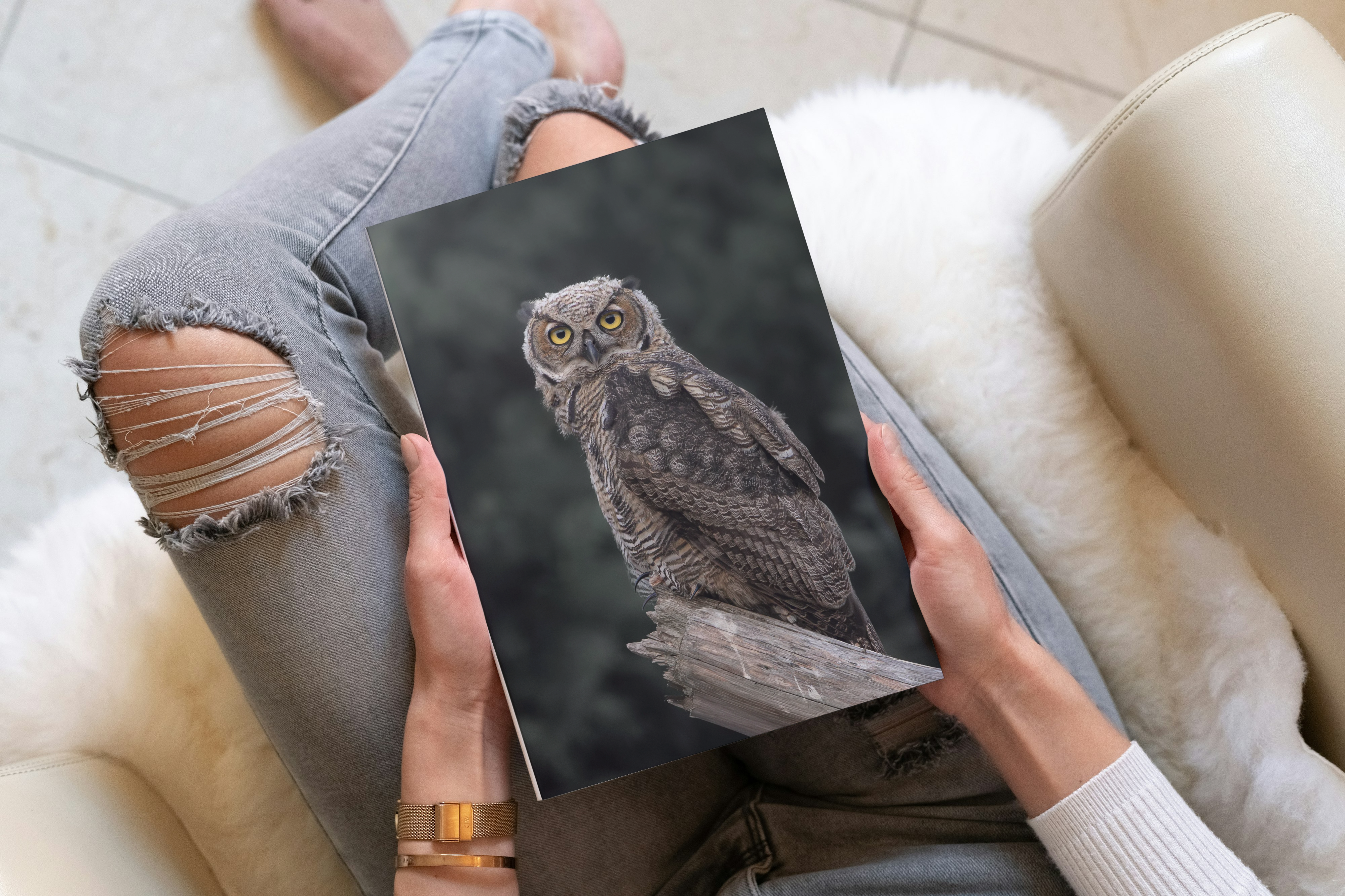 "Great Horned Owl" blank lined notebook