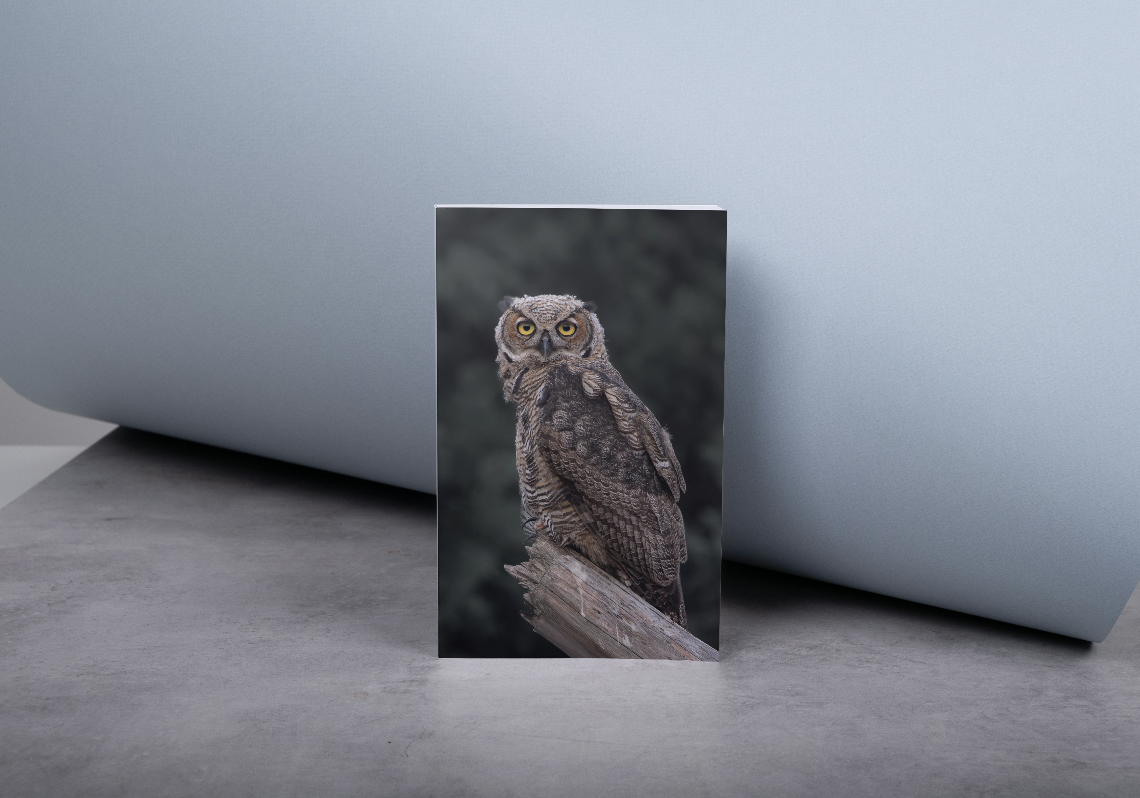 "Great Horned Owl" blank lined notebook