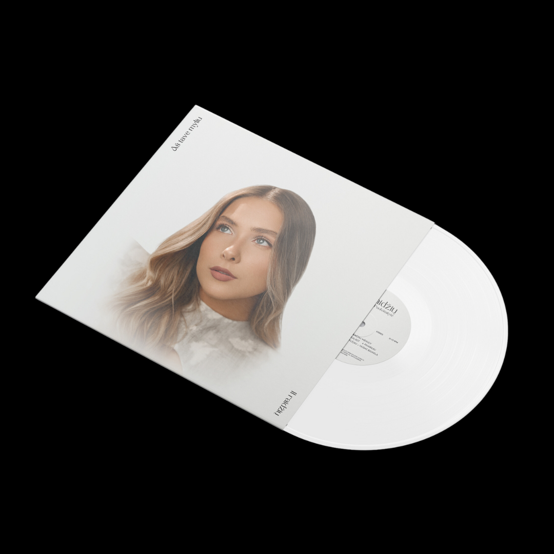 Vinilinė plokštelė „11 raidžių”
