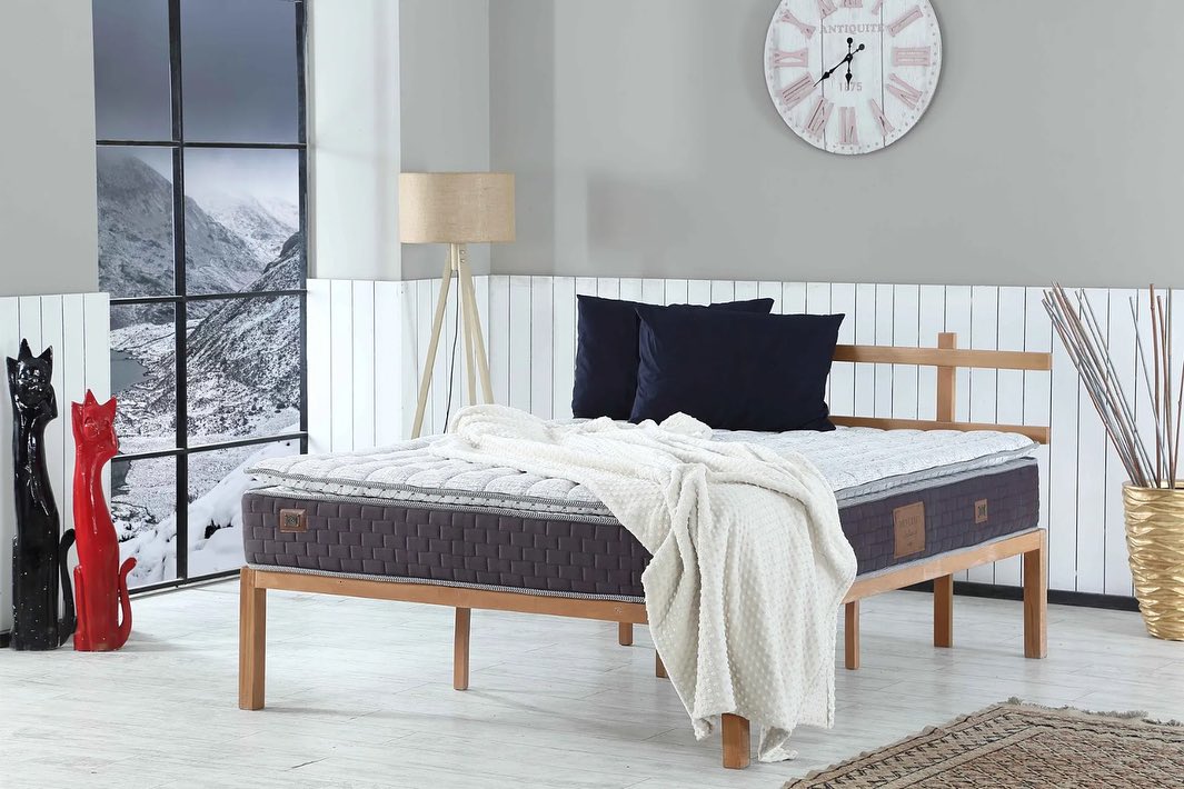 Pascha MEDICAL BED