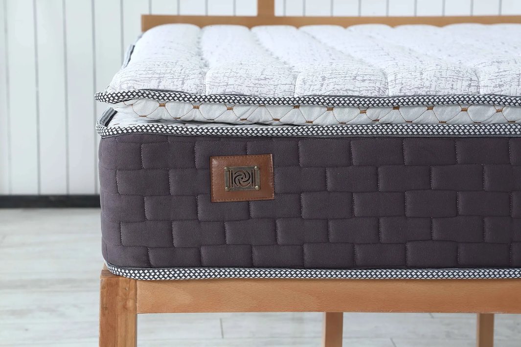 Pascha MEDICAL BED