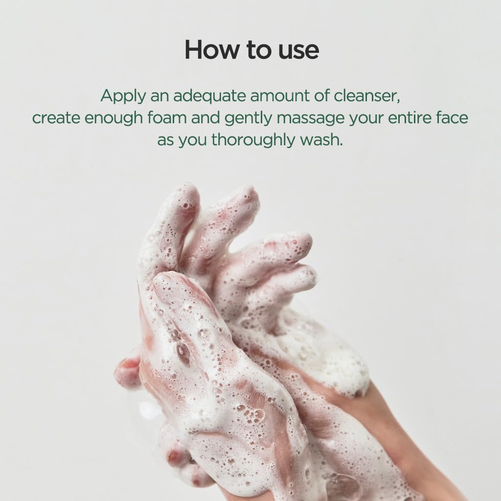  ANUA Heartleaf Quercetinol Pore Deep Cleansing Foam, 5.07 fl oz (150 ml)