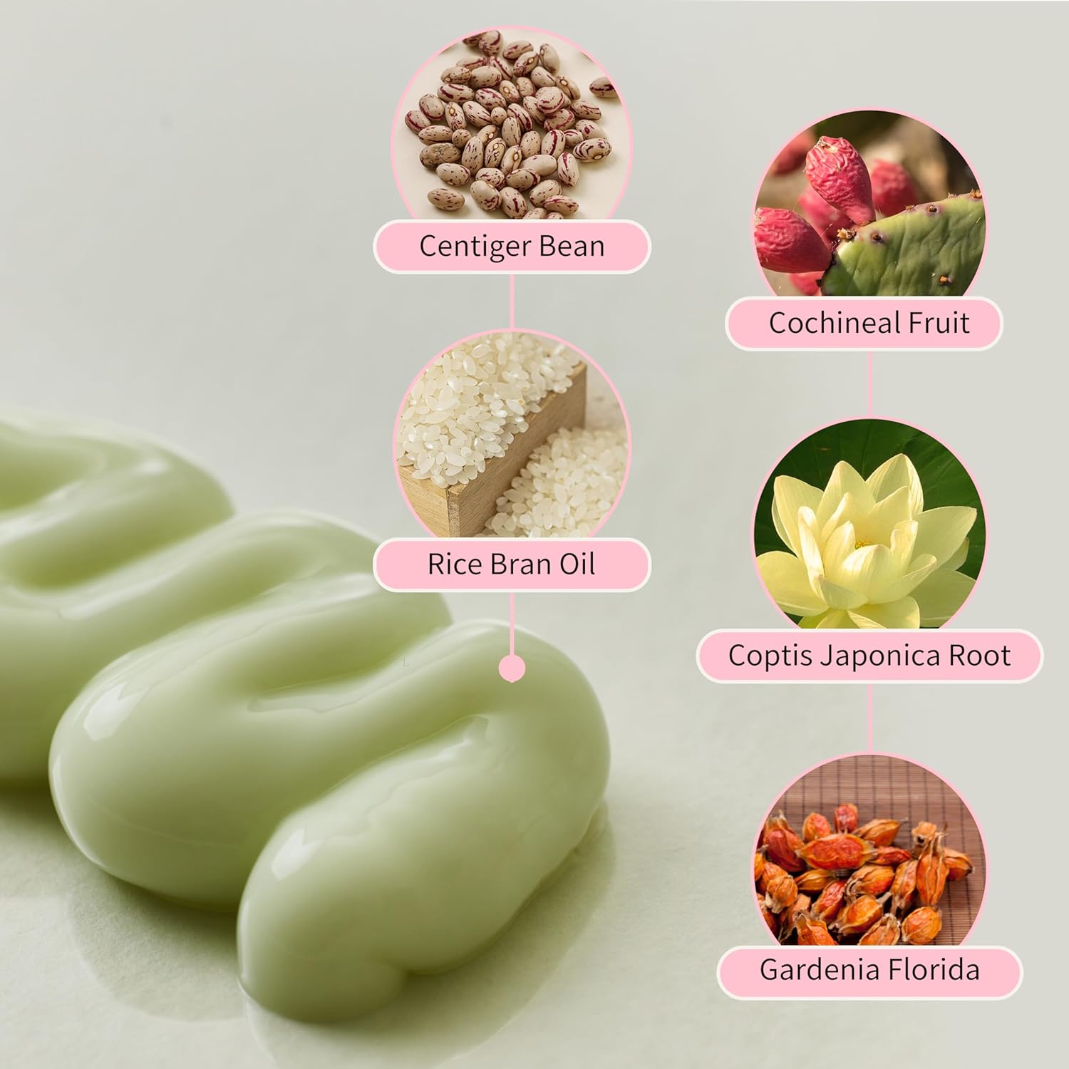 Beauty of Joseon Jelloskin Massage Cream Moisturizing Face and Body Lotion for Relaxing Massage Bruise Sore Muscle Relaxation 200ml, 6.76 fl.oz (Cream Only)