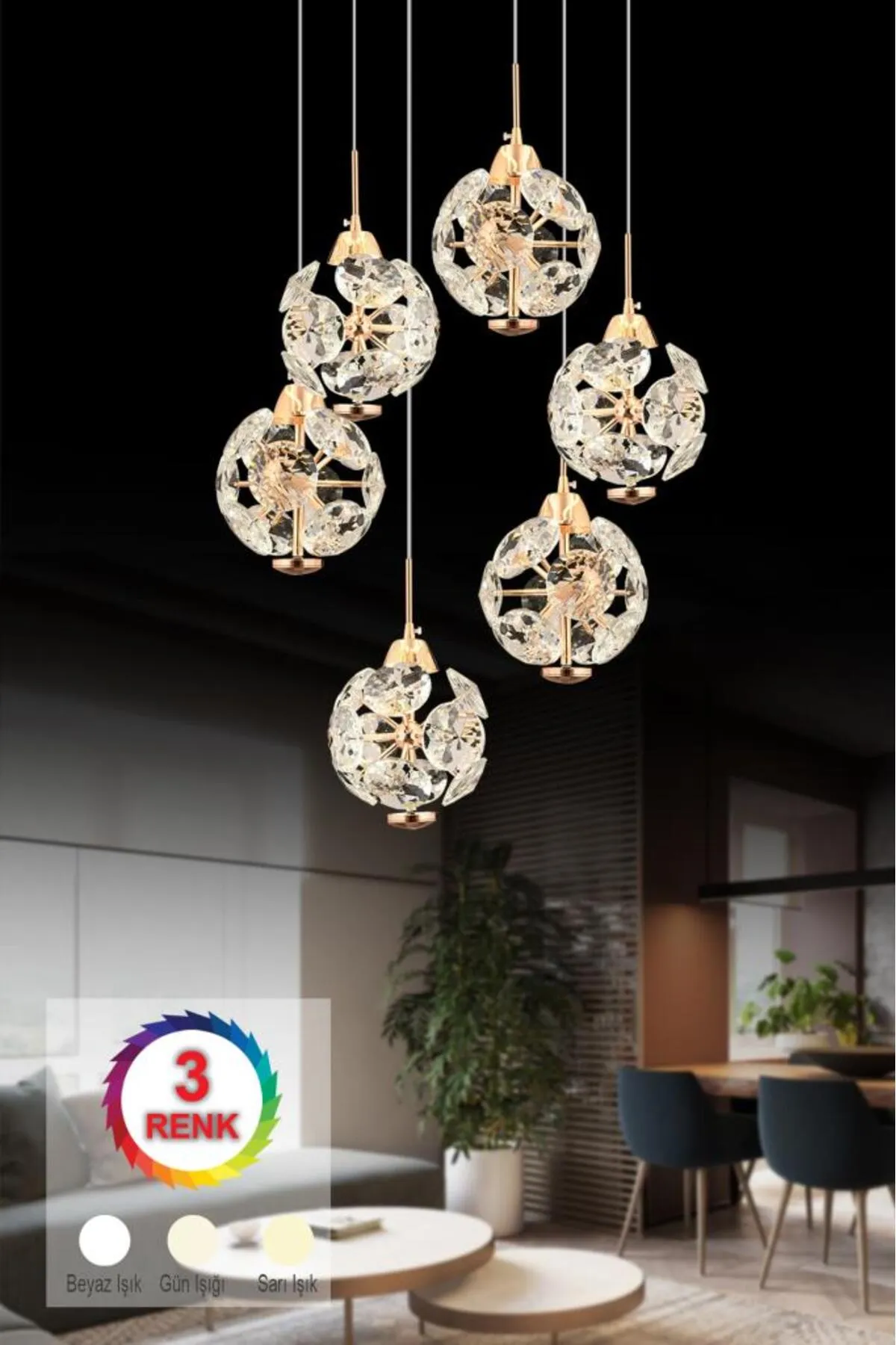 Karahindiba 6'lı Gold 055