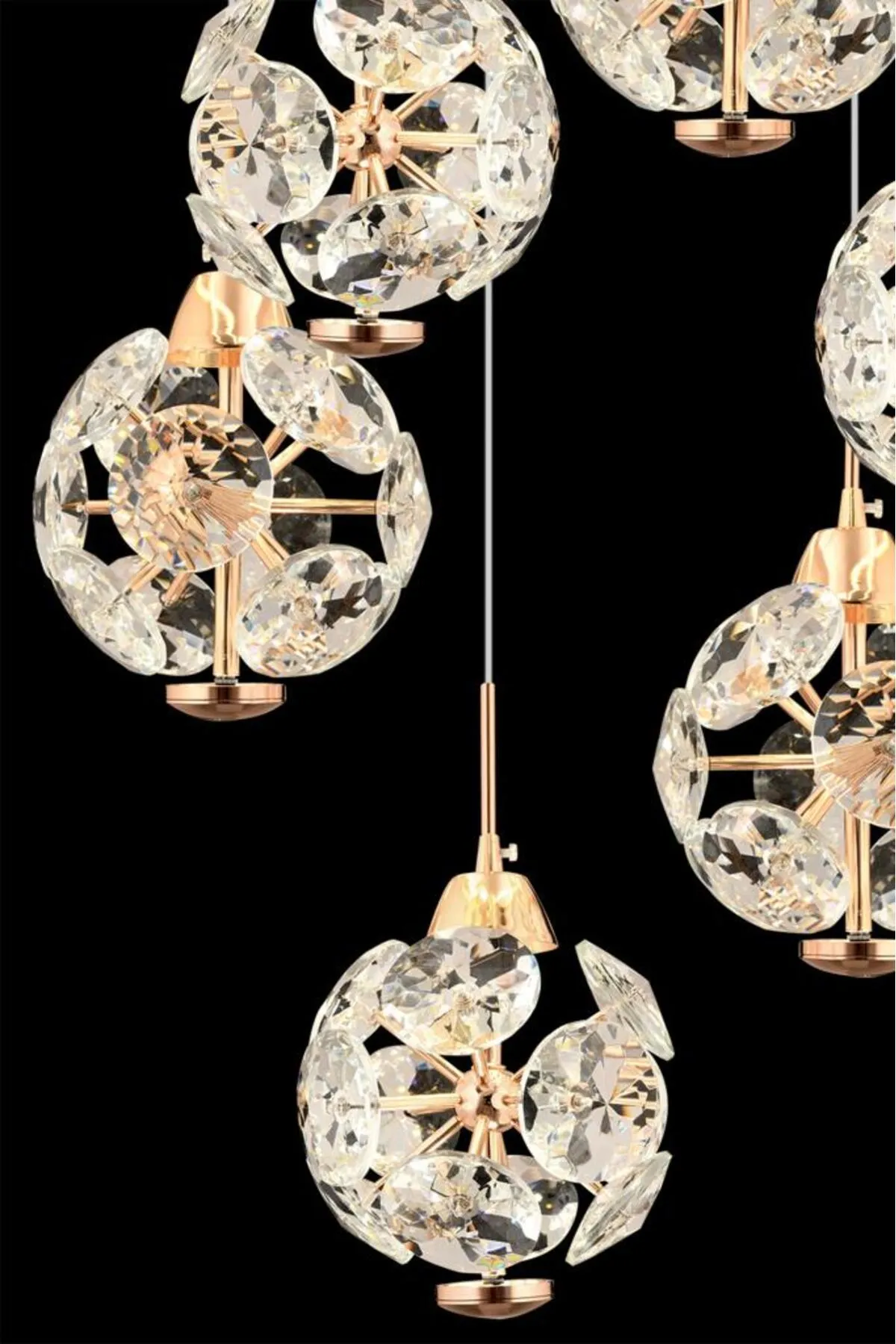 Karahindiba 6'lı Gold 055