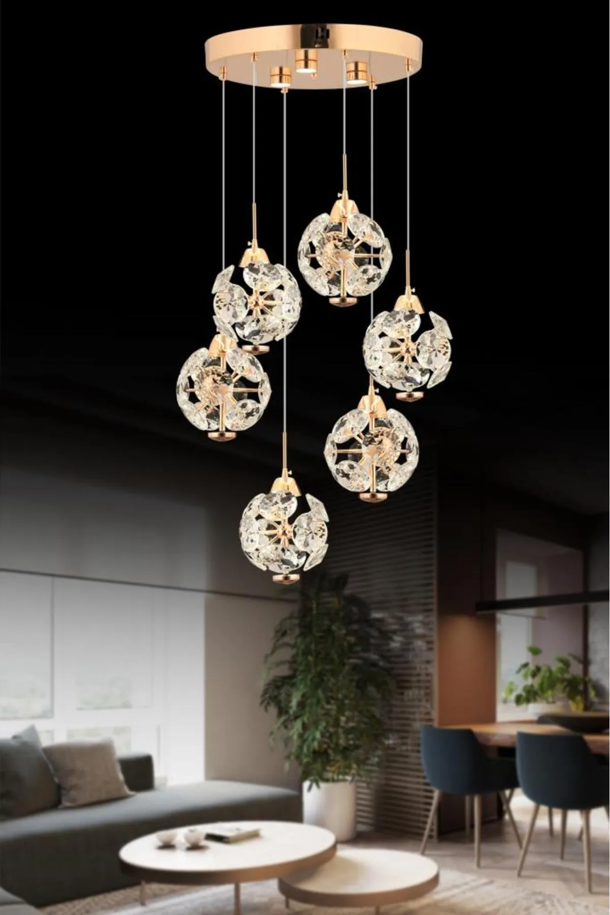 Karahindiba 6'lı Gold 055