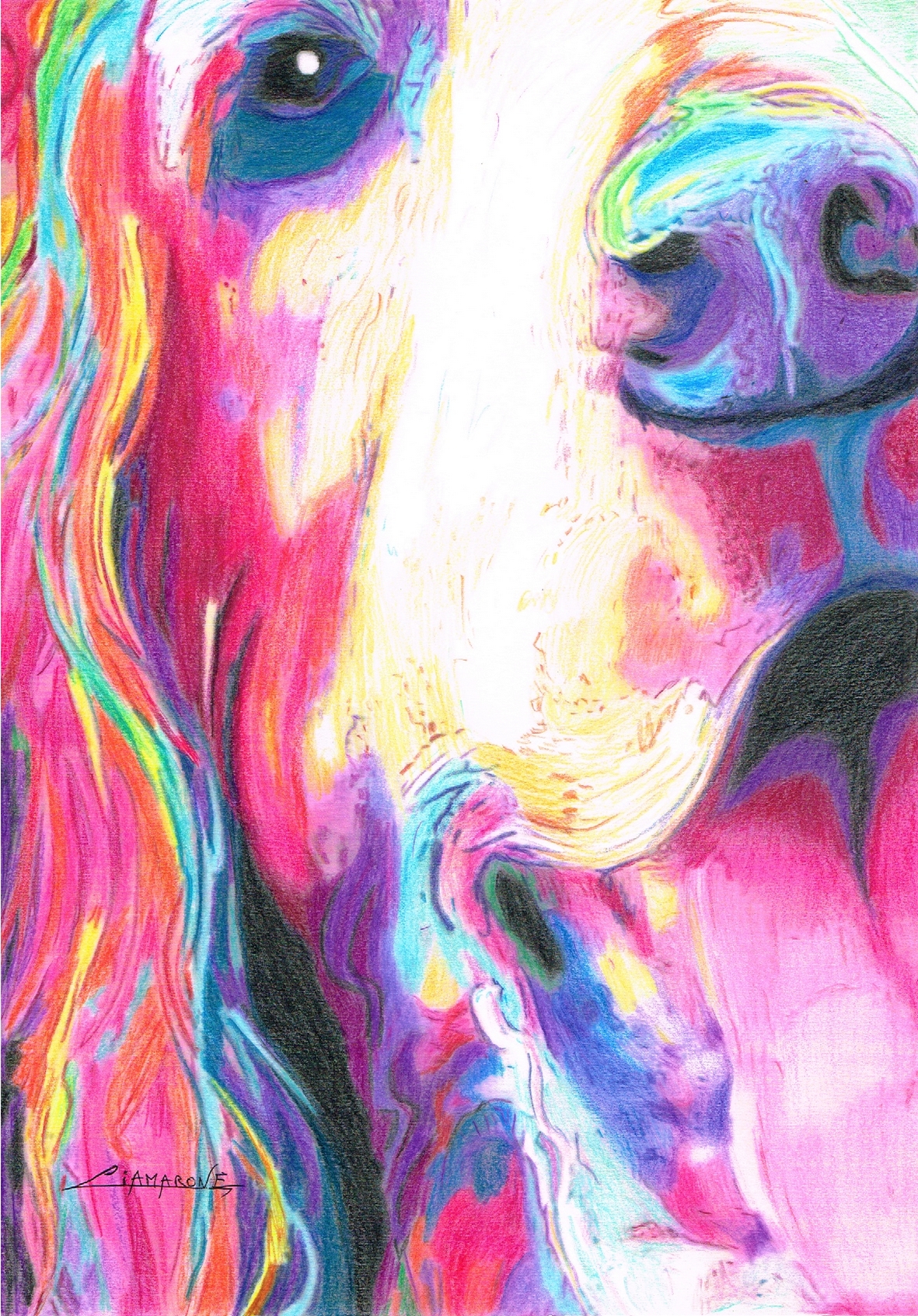 Dessin pop art "Cocker"