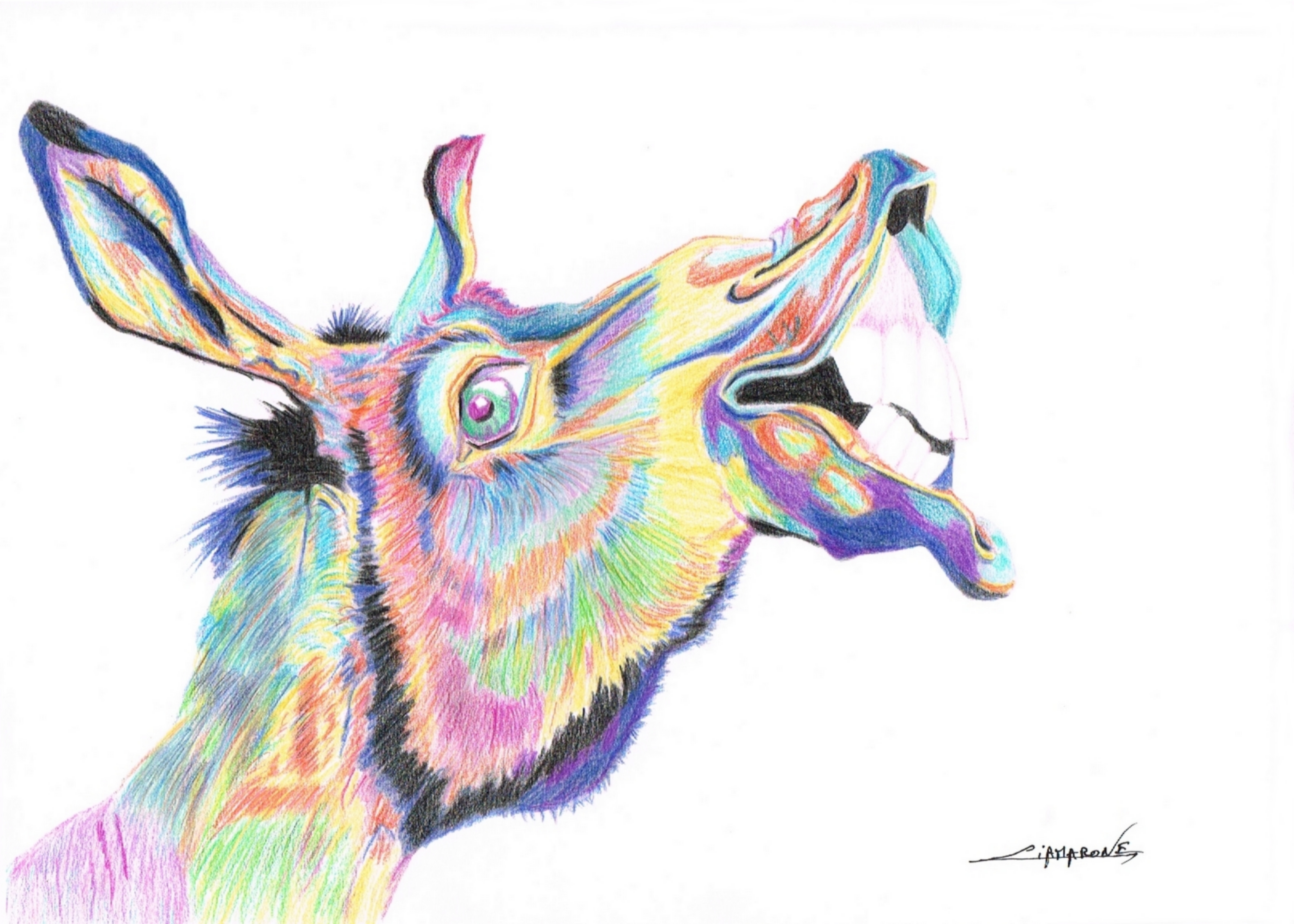 Dessin pop art  "Ane kiri"