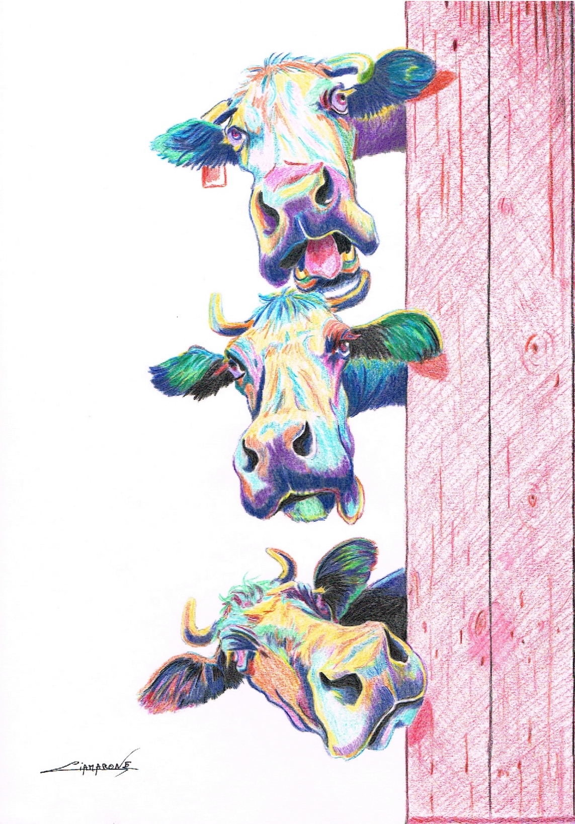 Dessin pop art "les 3 curieuses"