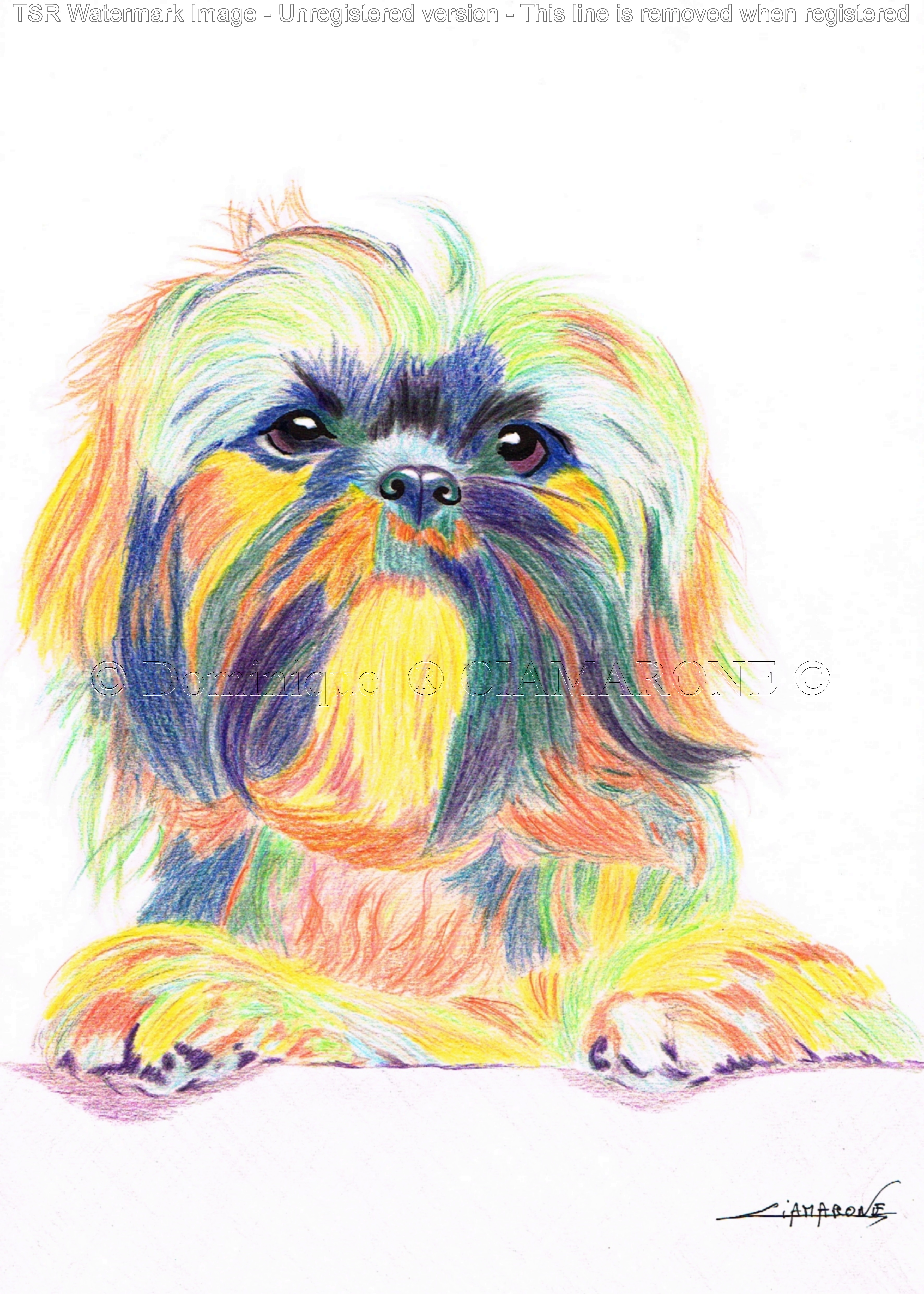 dessin "tchi tsu" pop art