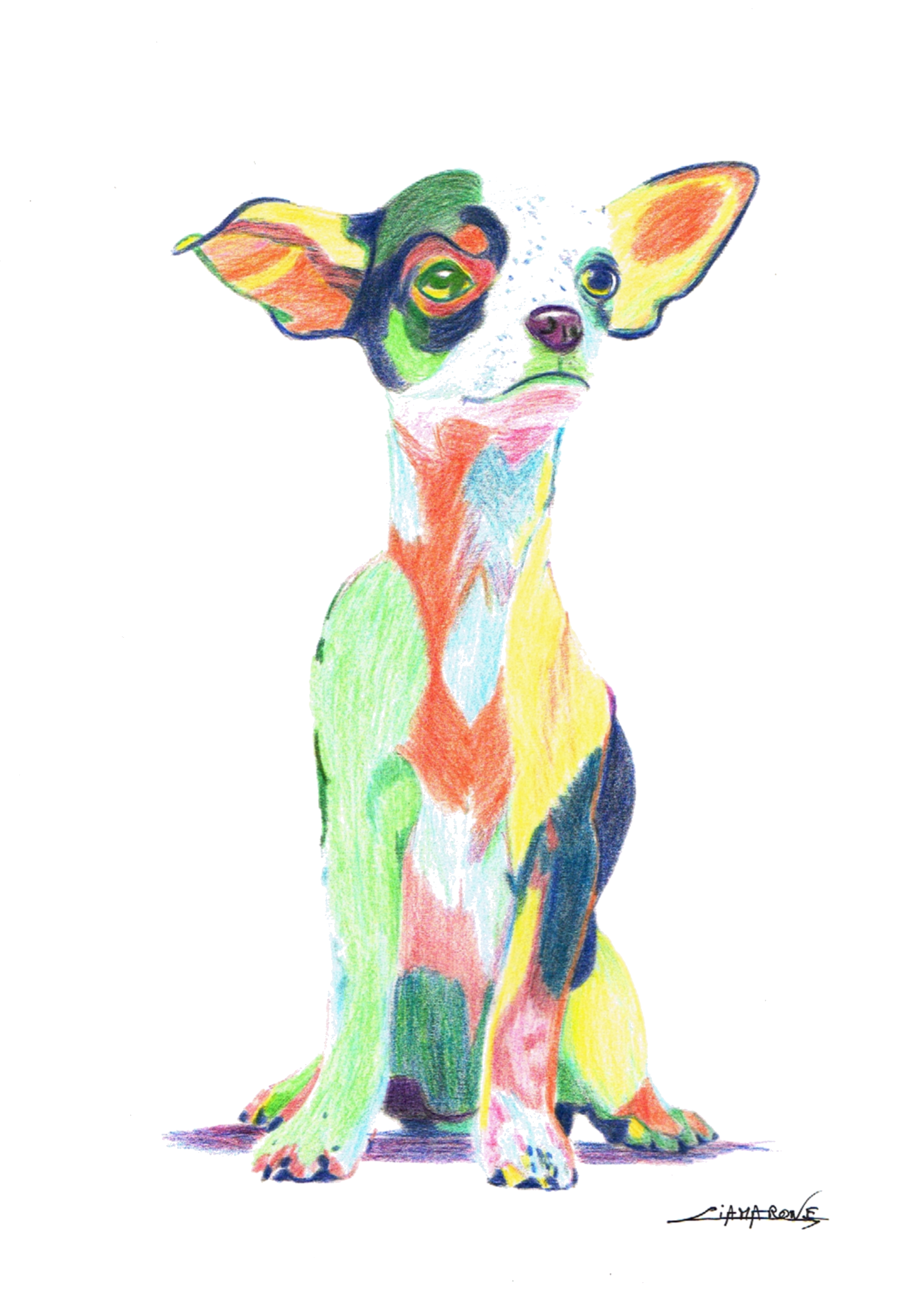 Dessin pop art "Chiwawa"