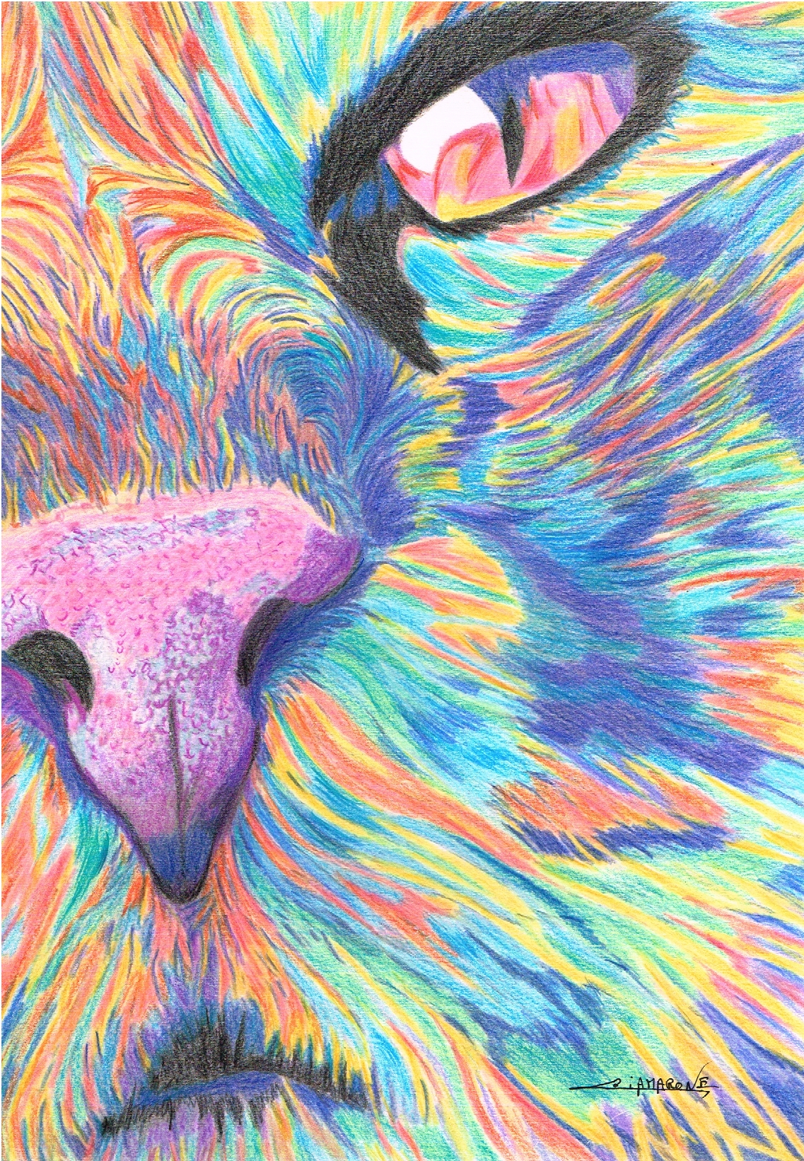 Dessins "regard de chat"