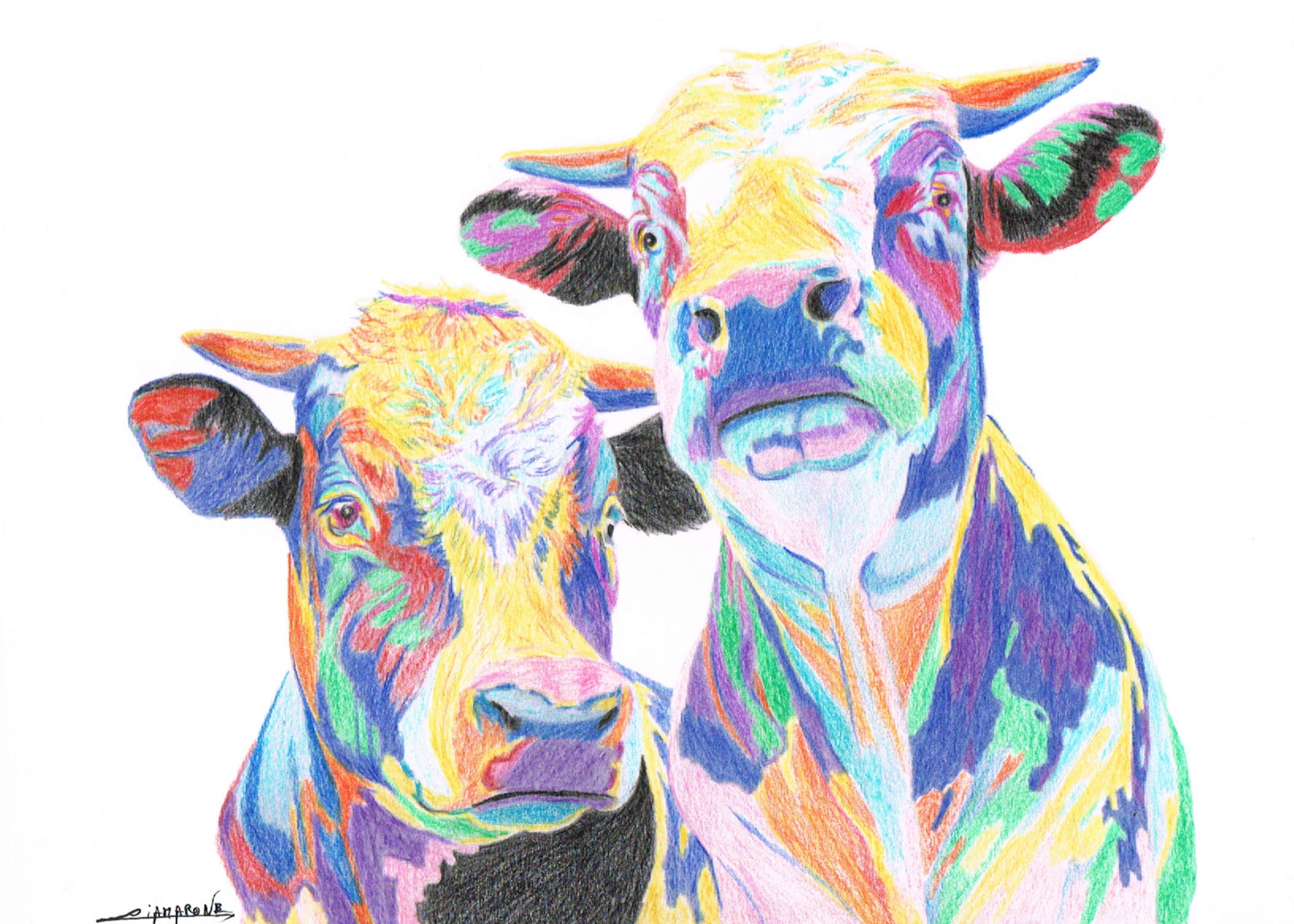 dessin vaches " Les deux copines"