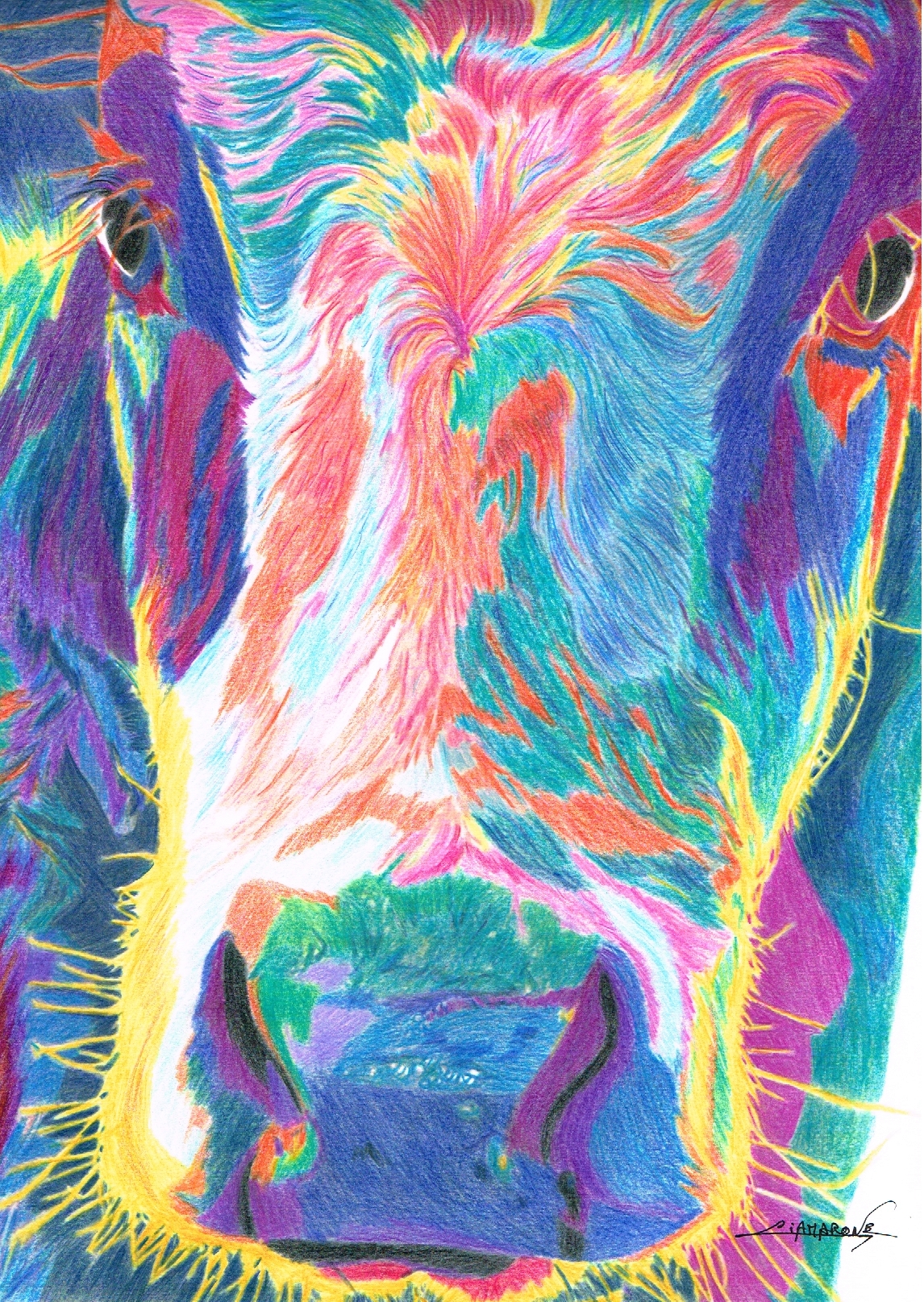 Dessin "Vache en gros plan" pop art