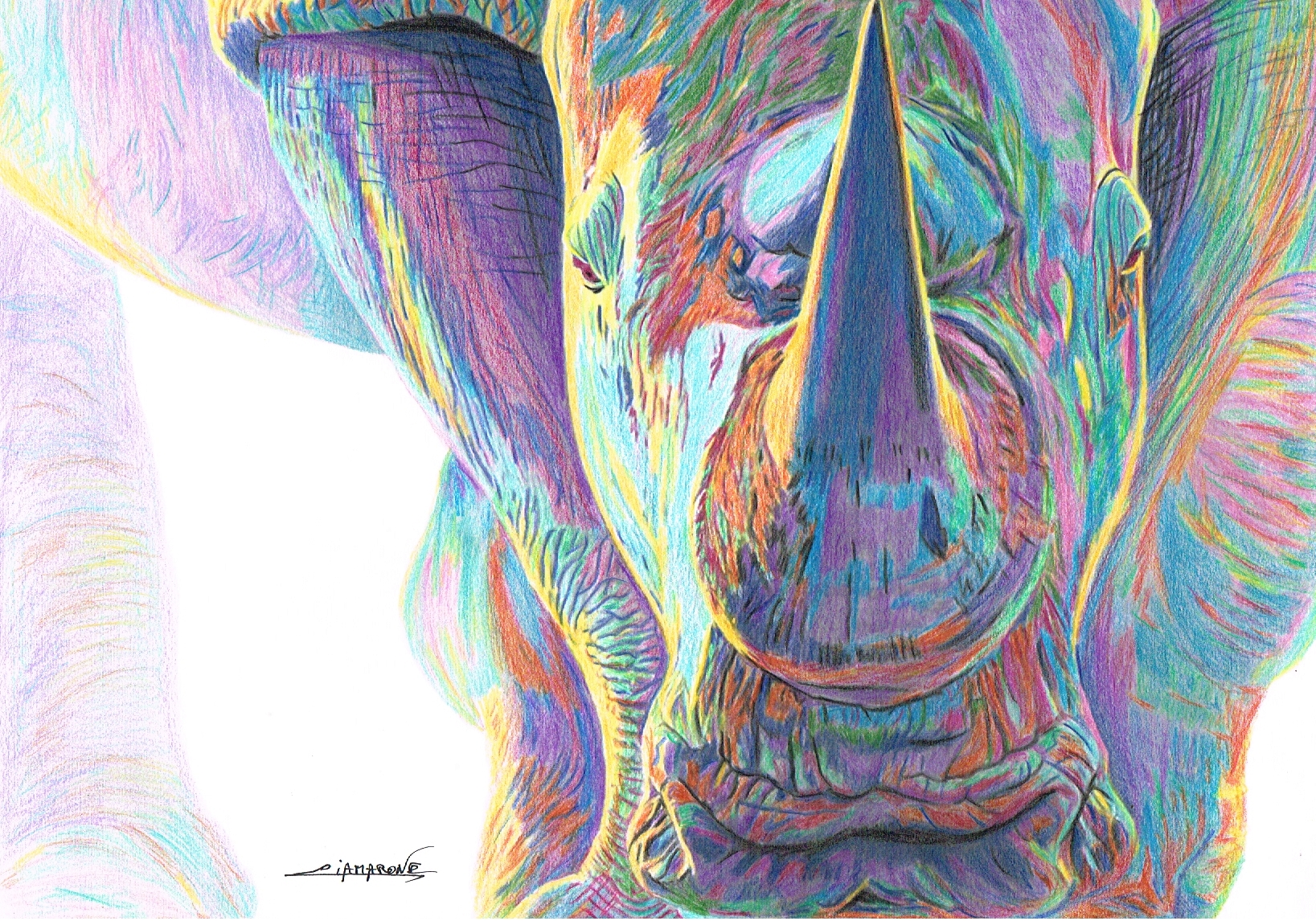 Dessin "Rhino" crayon de couleurs 