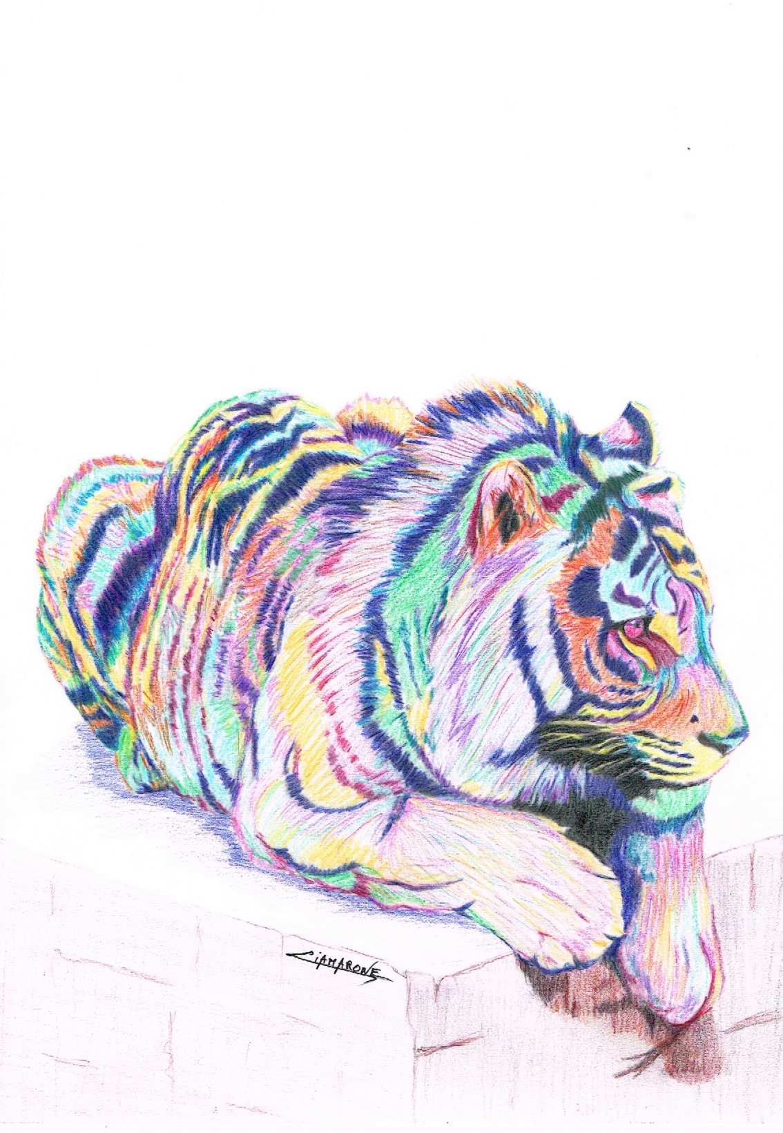 Dessin "tigre" pop art